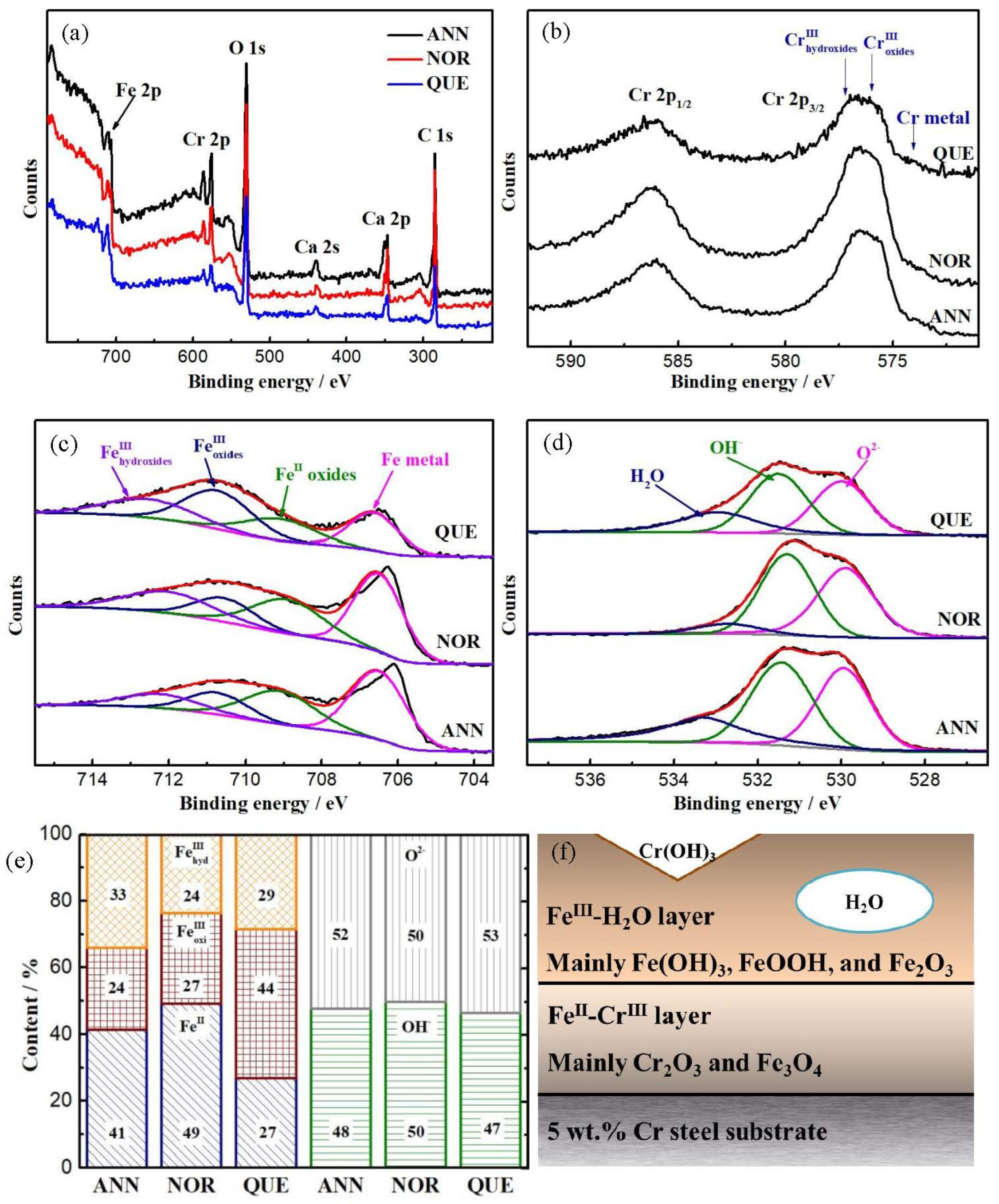 Coatings 13 00964 g005