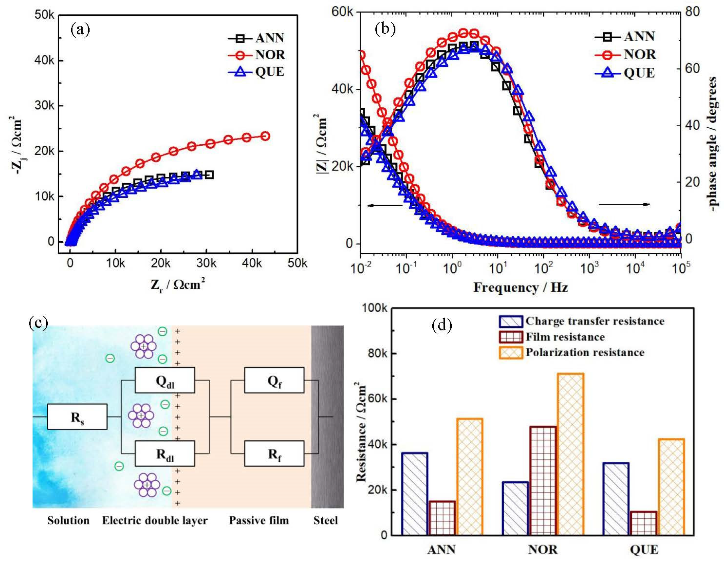 Coatings 13 00964 g007