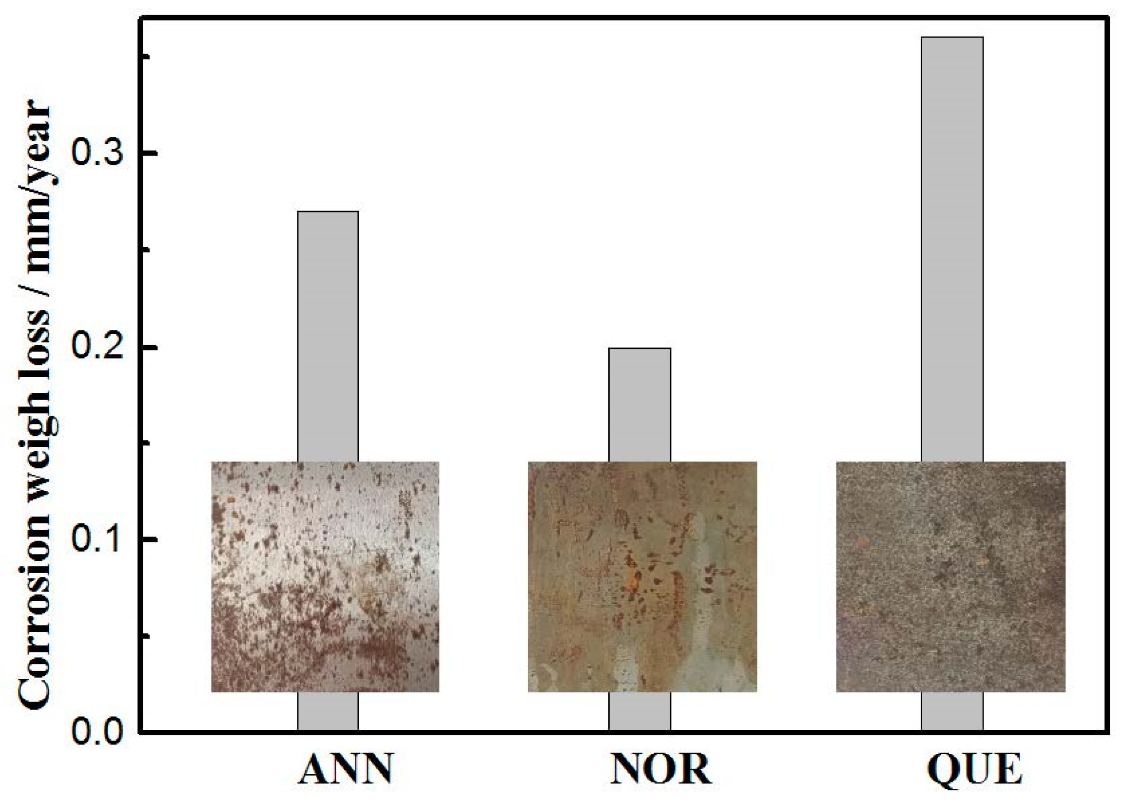 Coatings 13 00964 g010