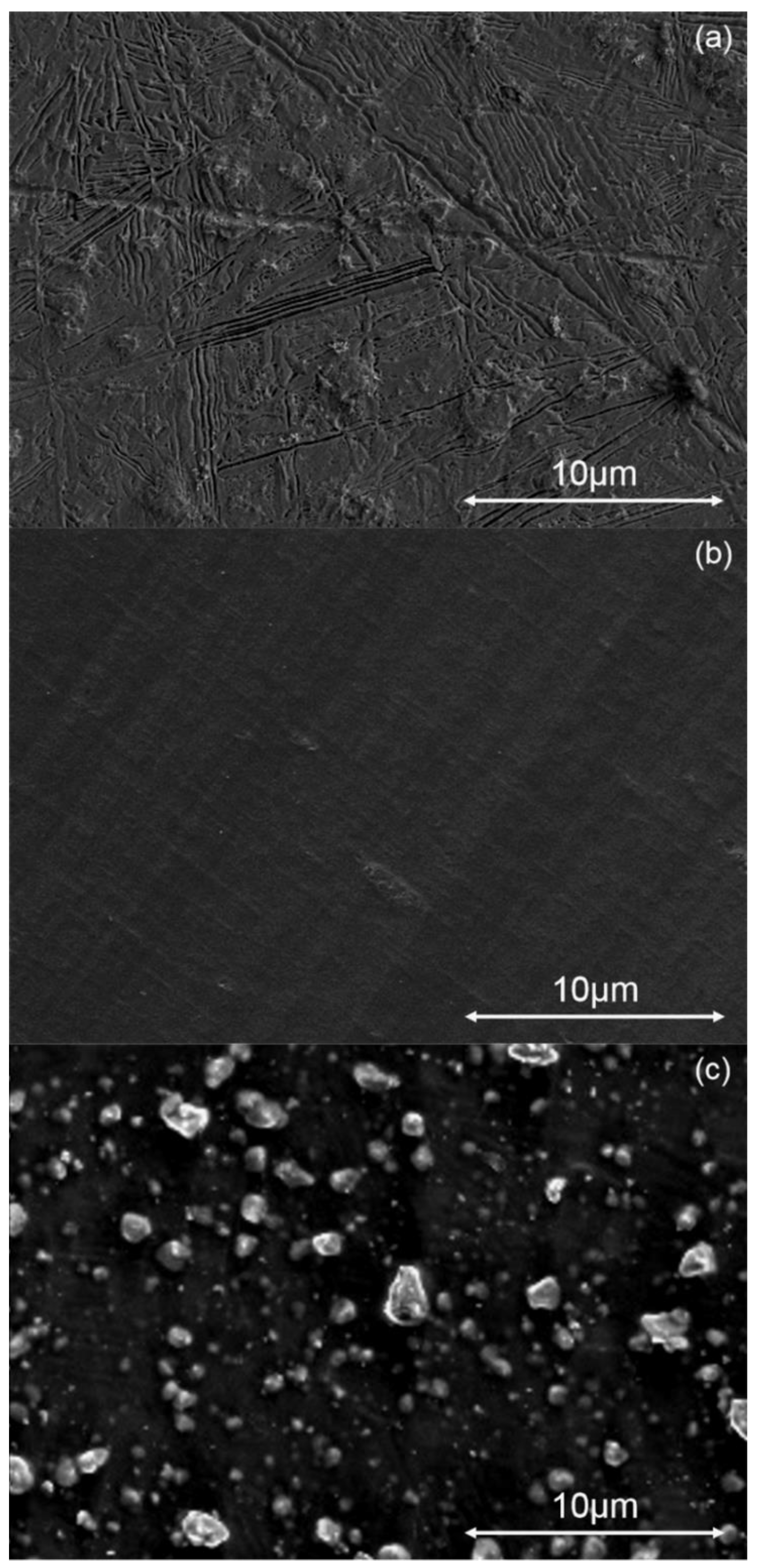 Coatings 13 00971 g001