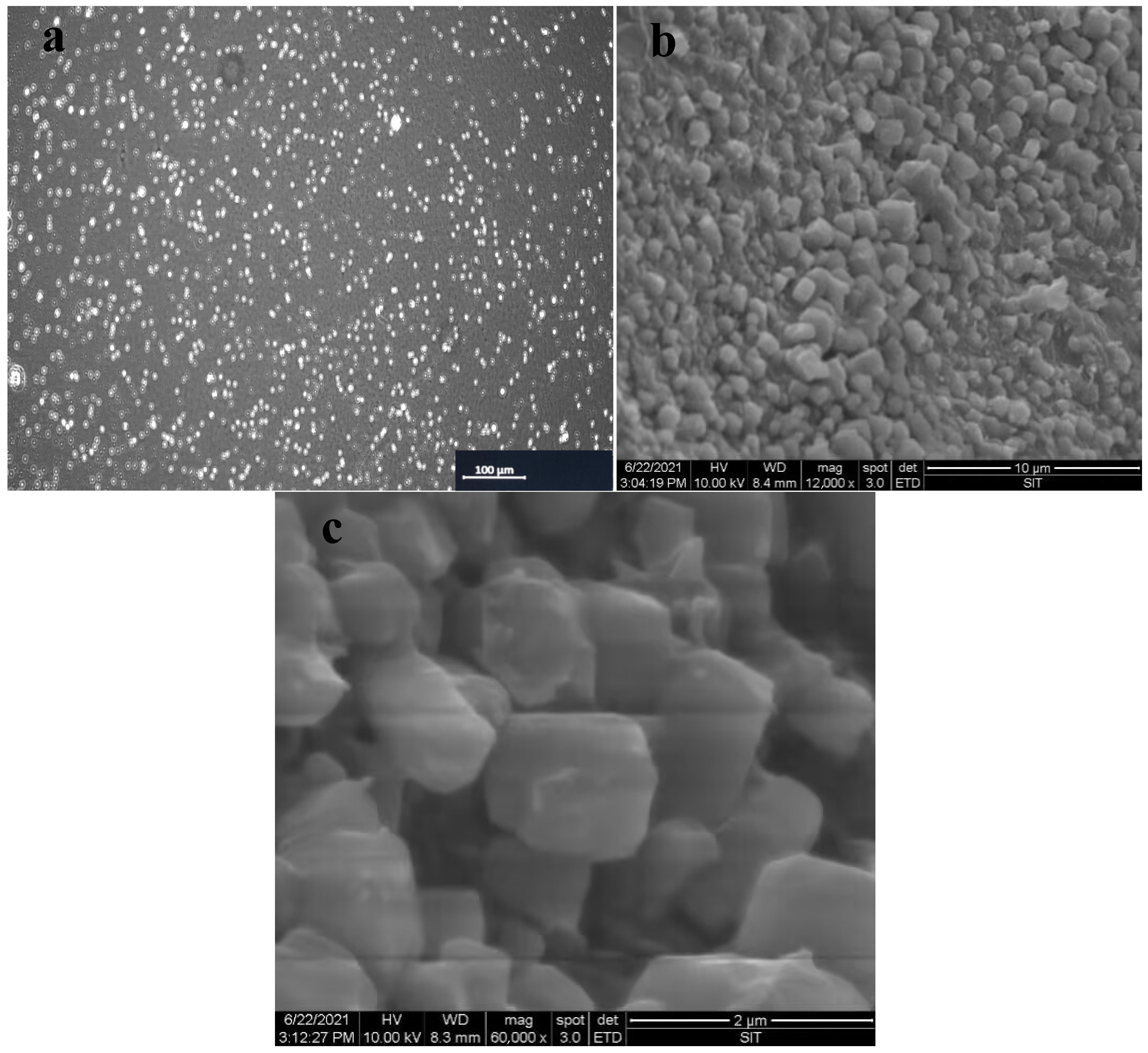 Coatings 13 00973 g002