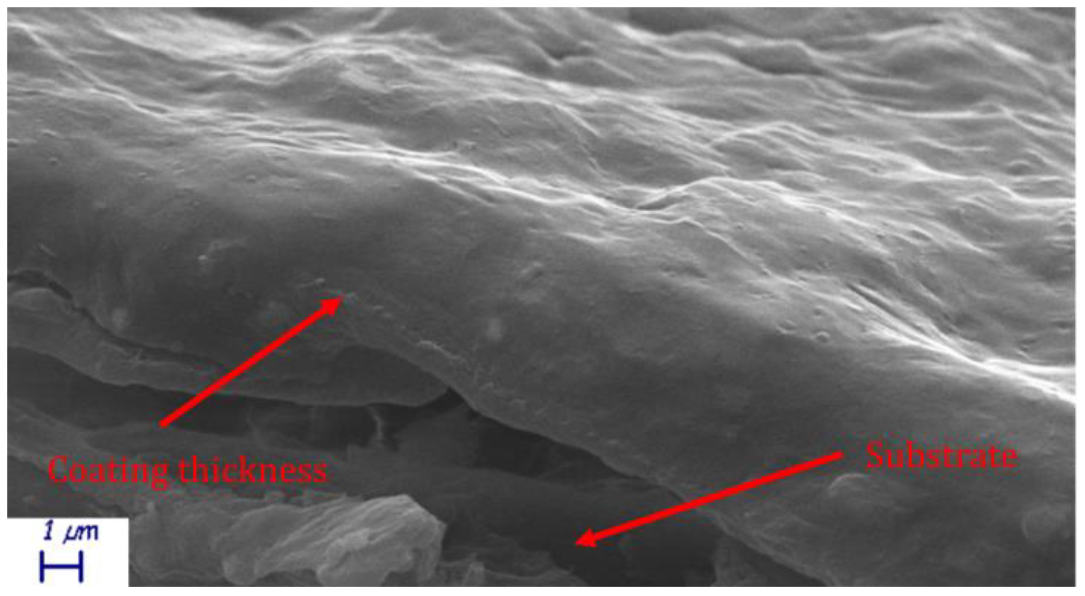Coatings 13 00975 g001