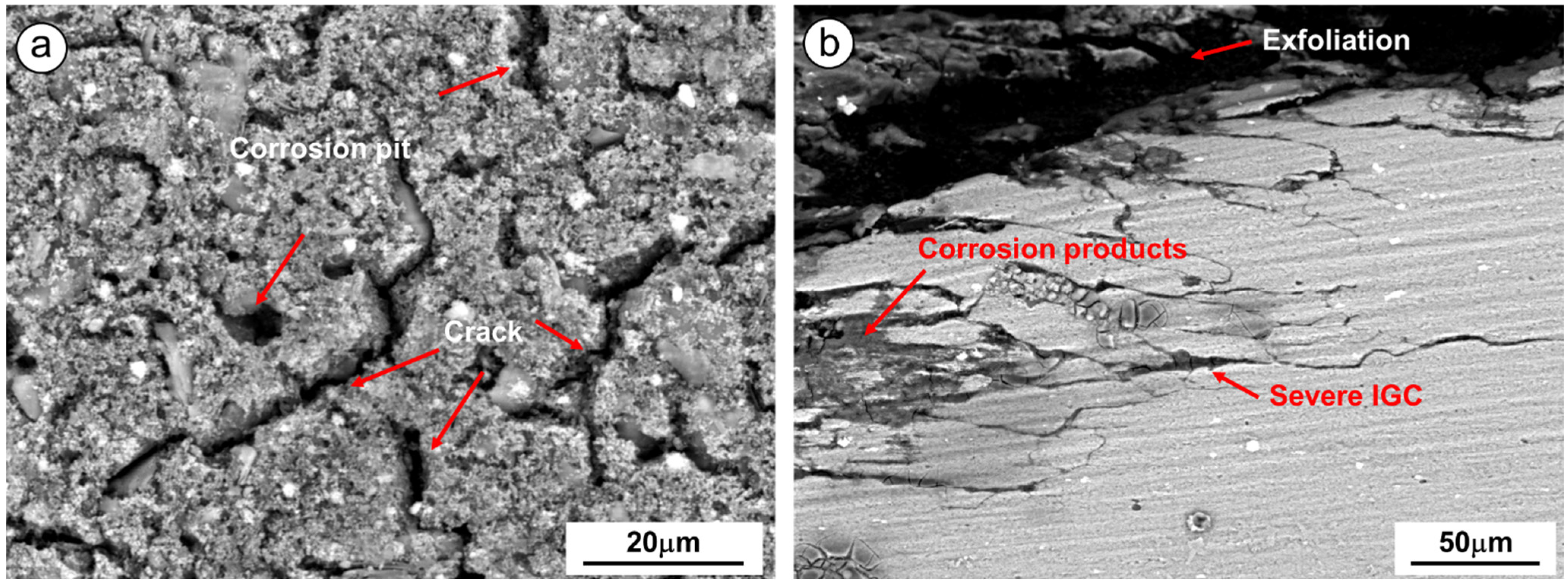 Coatings 13 00976 g005