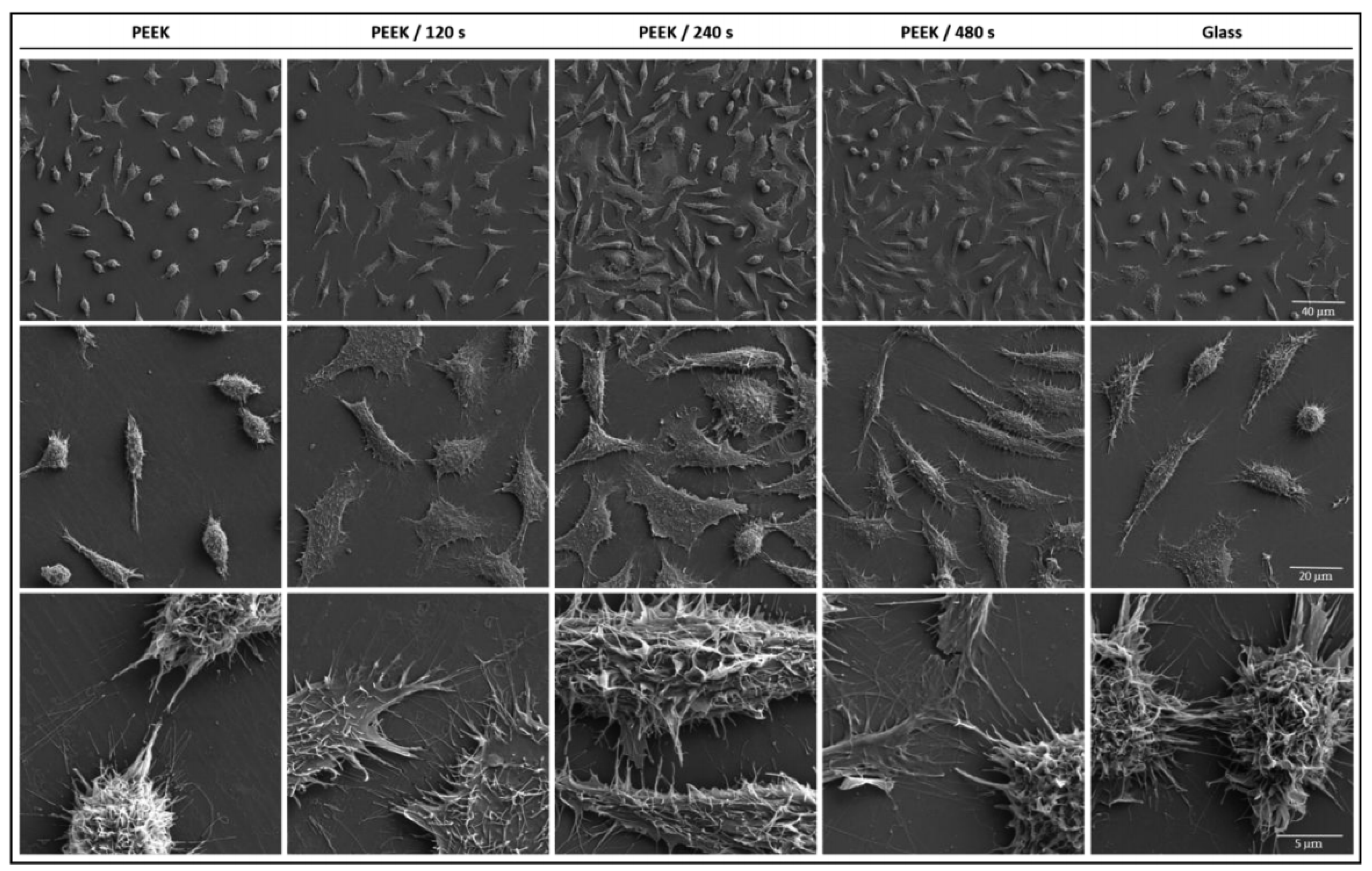Coatings 13 00977 g002 Coatings 13 00977 g002