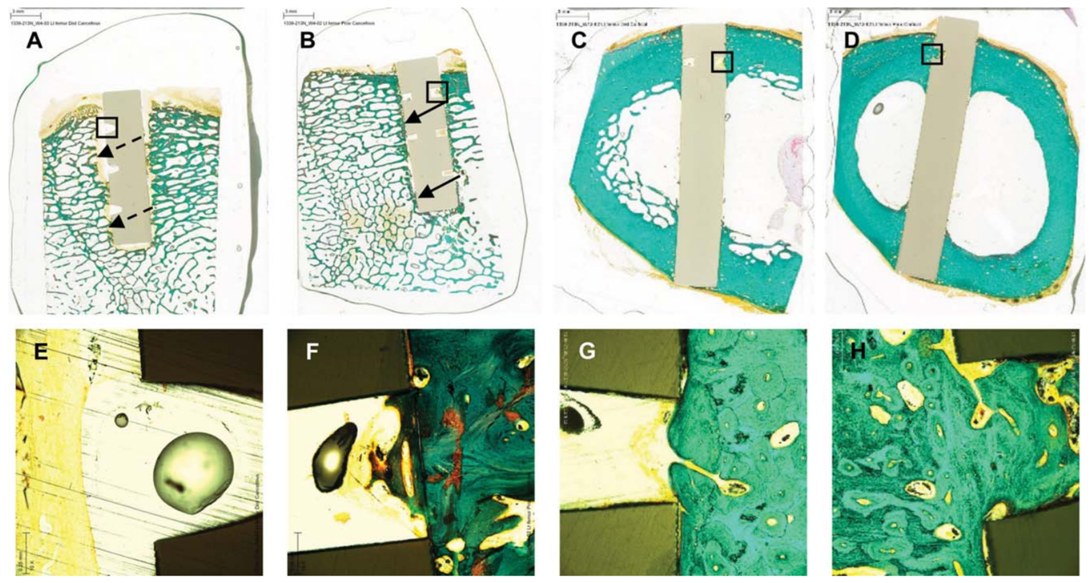 Coatings 13 00977 g003 Coatings 13 00977 g003