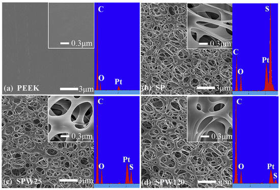 Surface Modification Techniques for Polyetheretherketone as Spinal