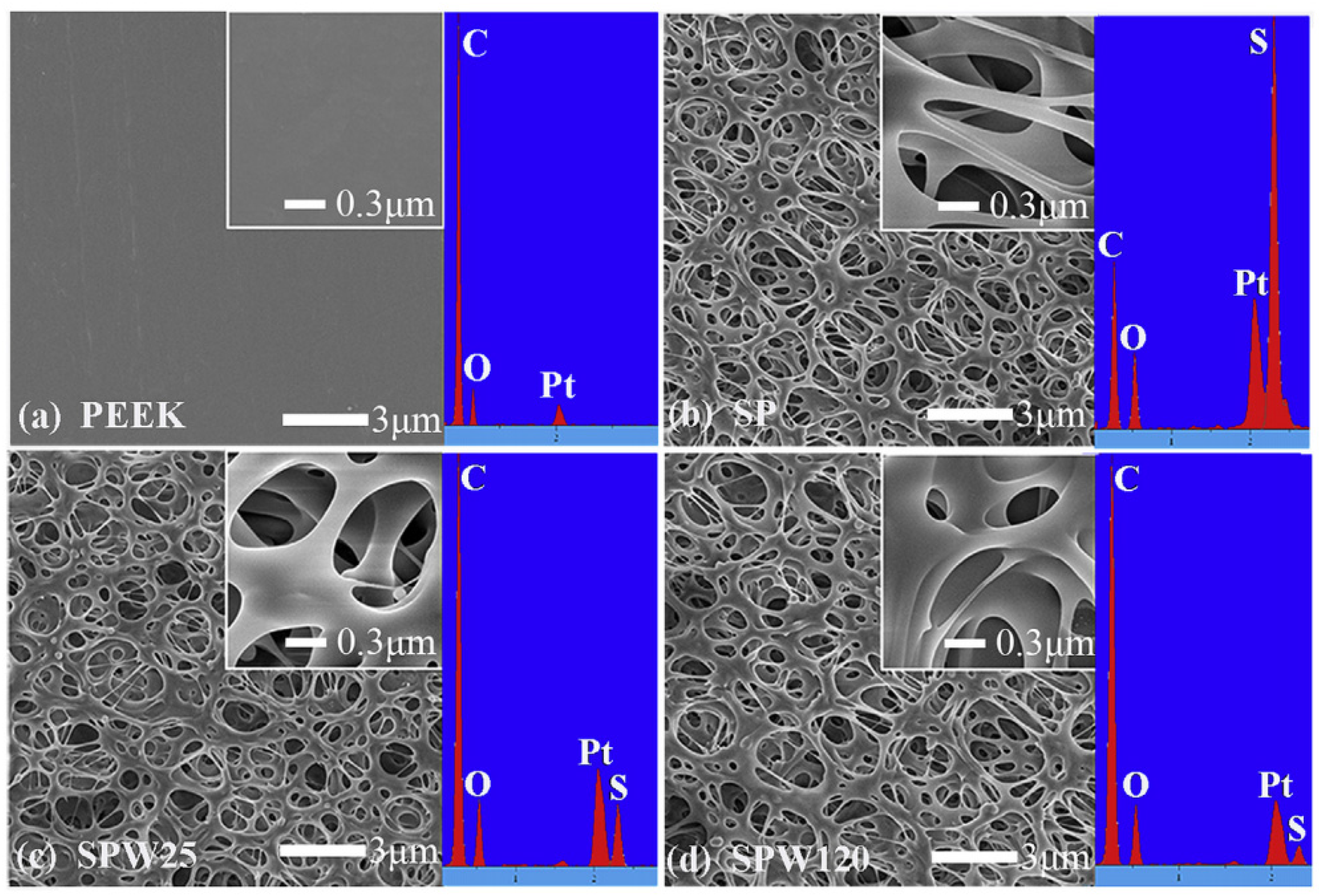 Coatings 13 00977 g004 Coatings 13 00977 g004
