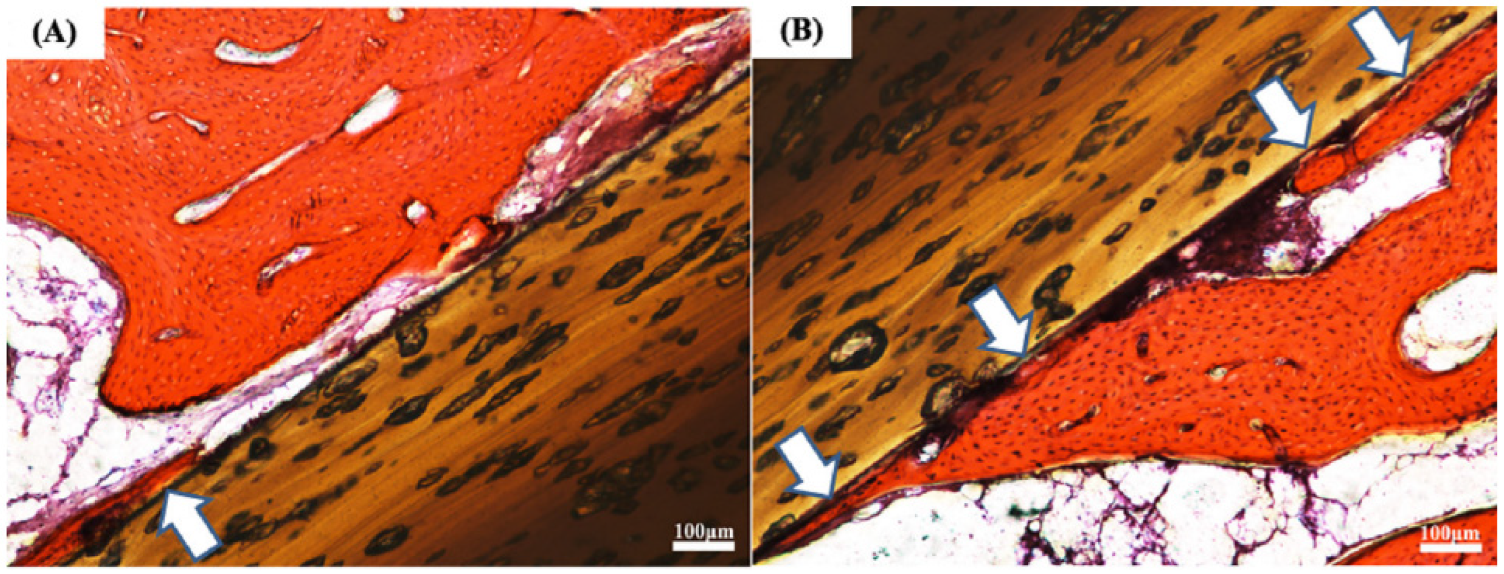 Coatings 13 00977 g007 Coatings 13 00977 g007