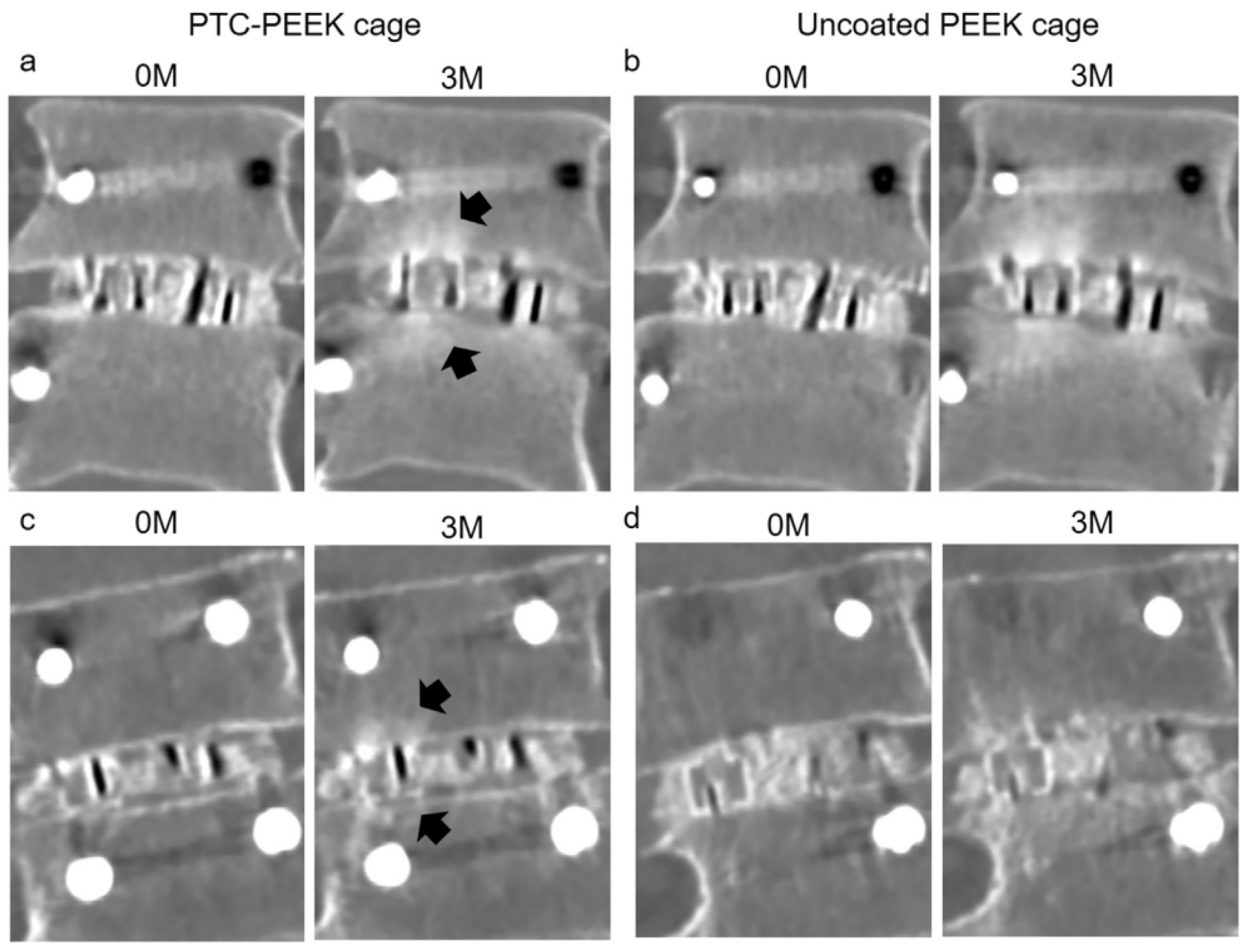 Coatings 13 00977 g008 Coatings 13 00977 g008