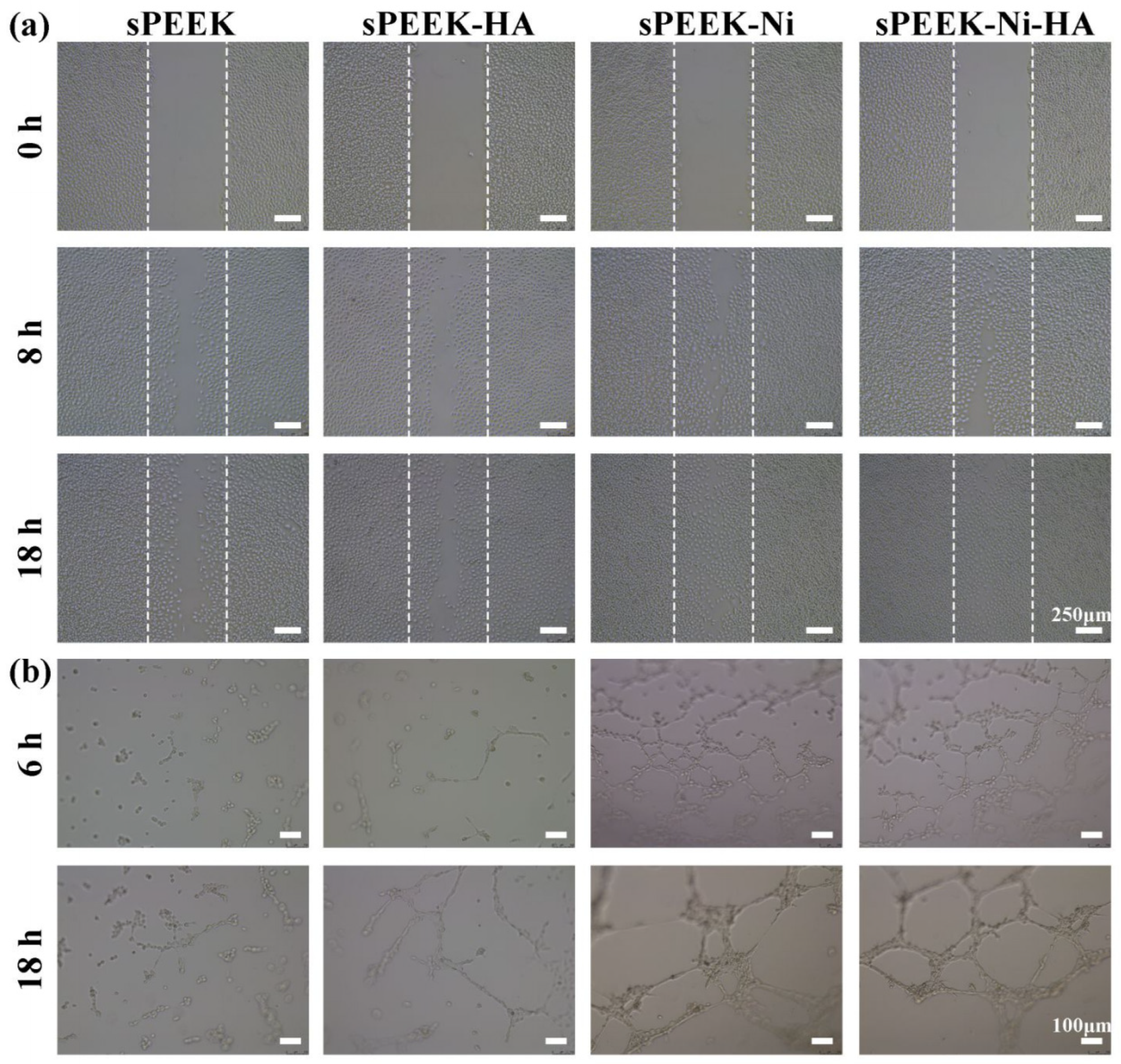 Coatings 13 00977 g010 Coatings 13 00977 g010