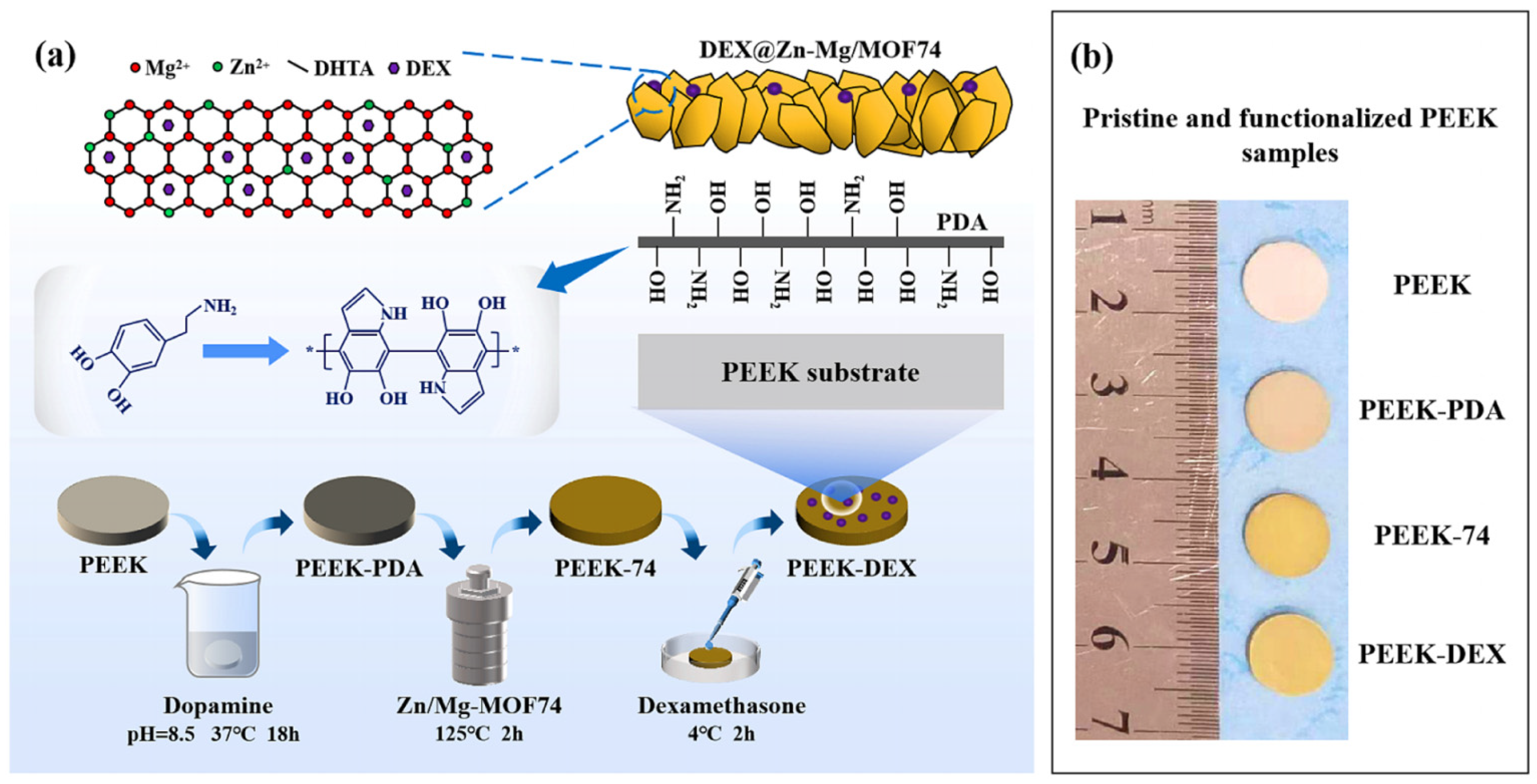 Coatings 13 00977 g011 Coatings 13 00977 g011