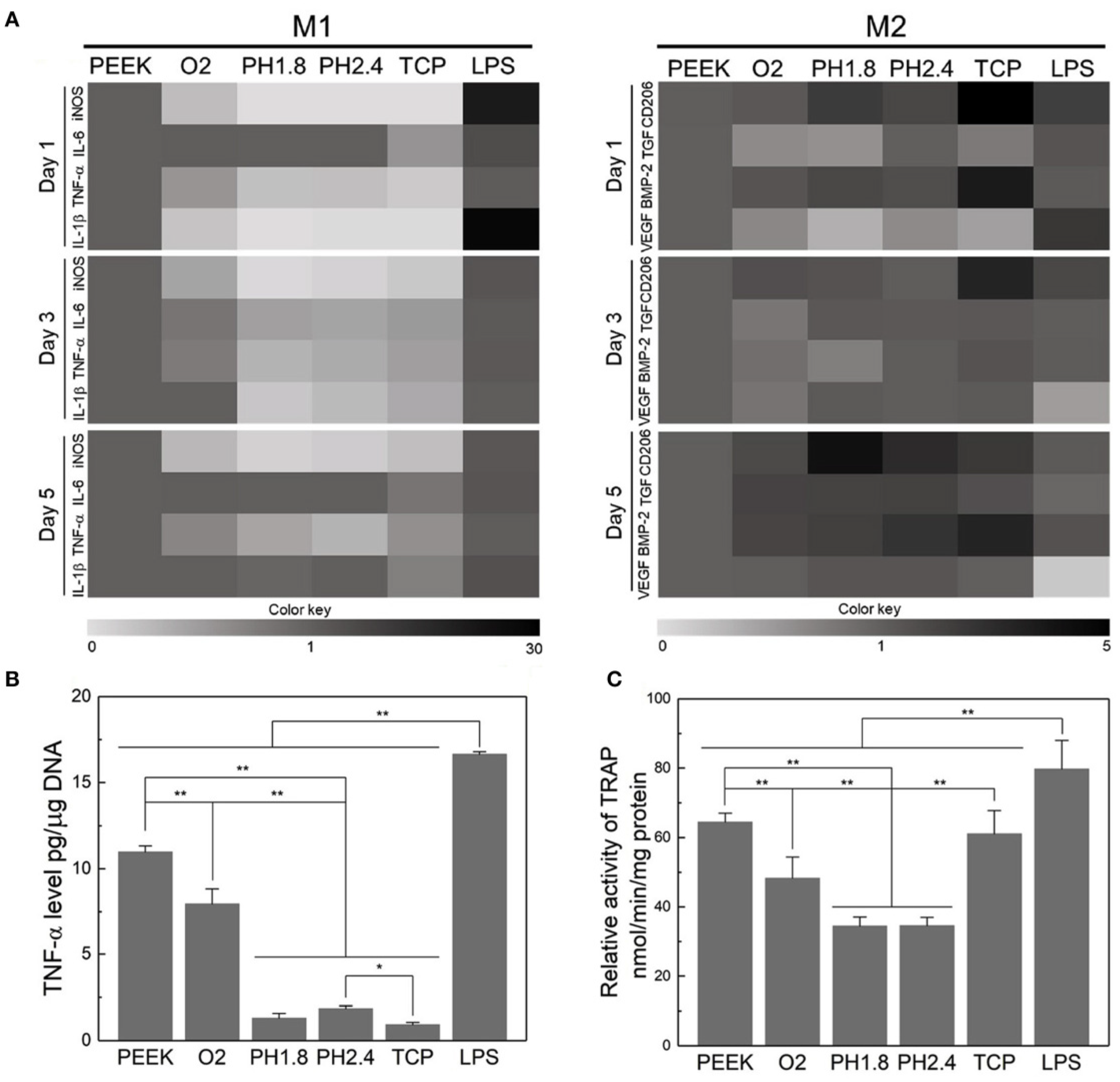 Coatings 13 00977 g012 Coatings 13 00977 g012