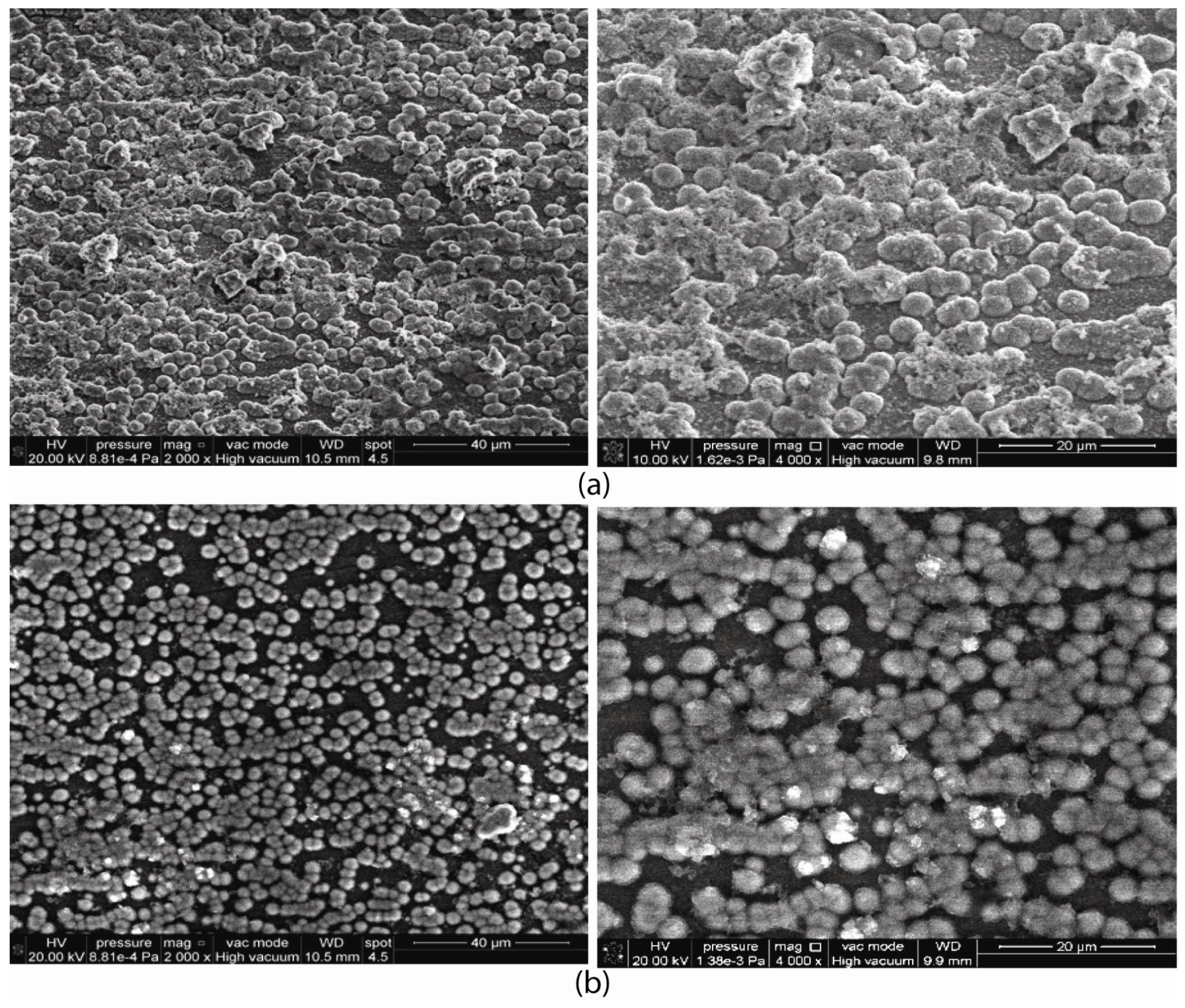 Coatings 13 00980 g007 Coatings 13 00980 g007