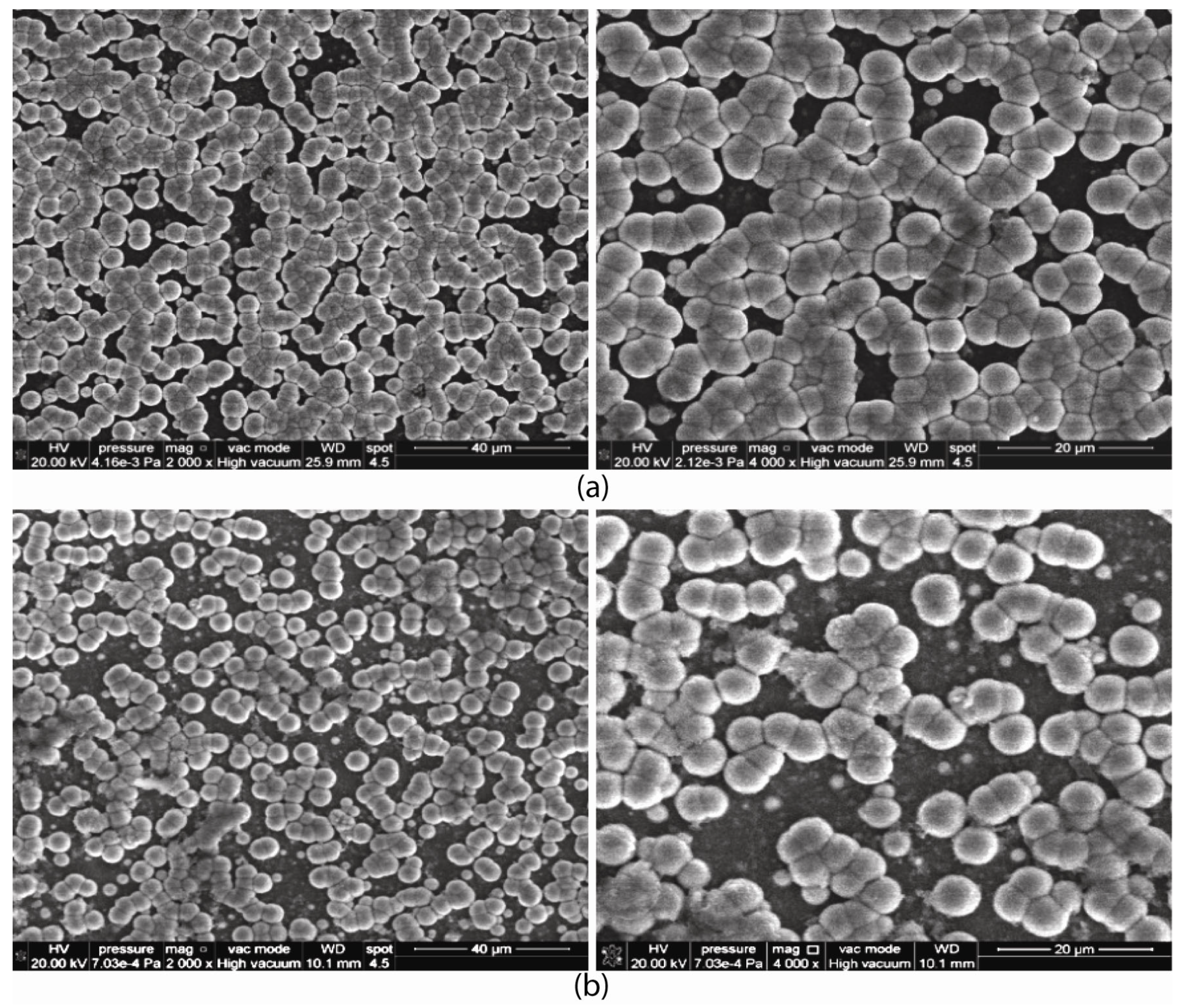 Coatings 13 00980 g009 Coatings 13 00980 g009