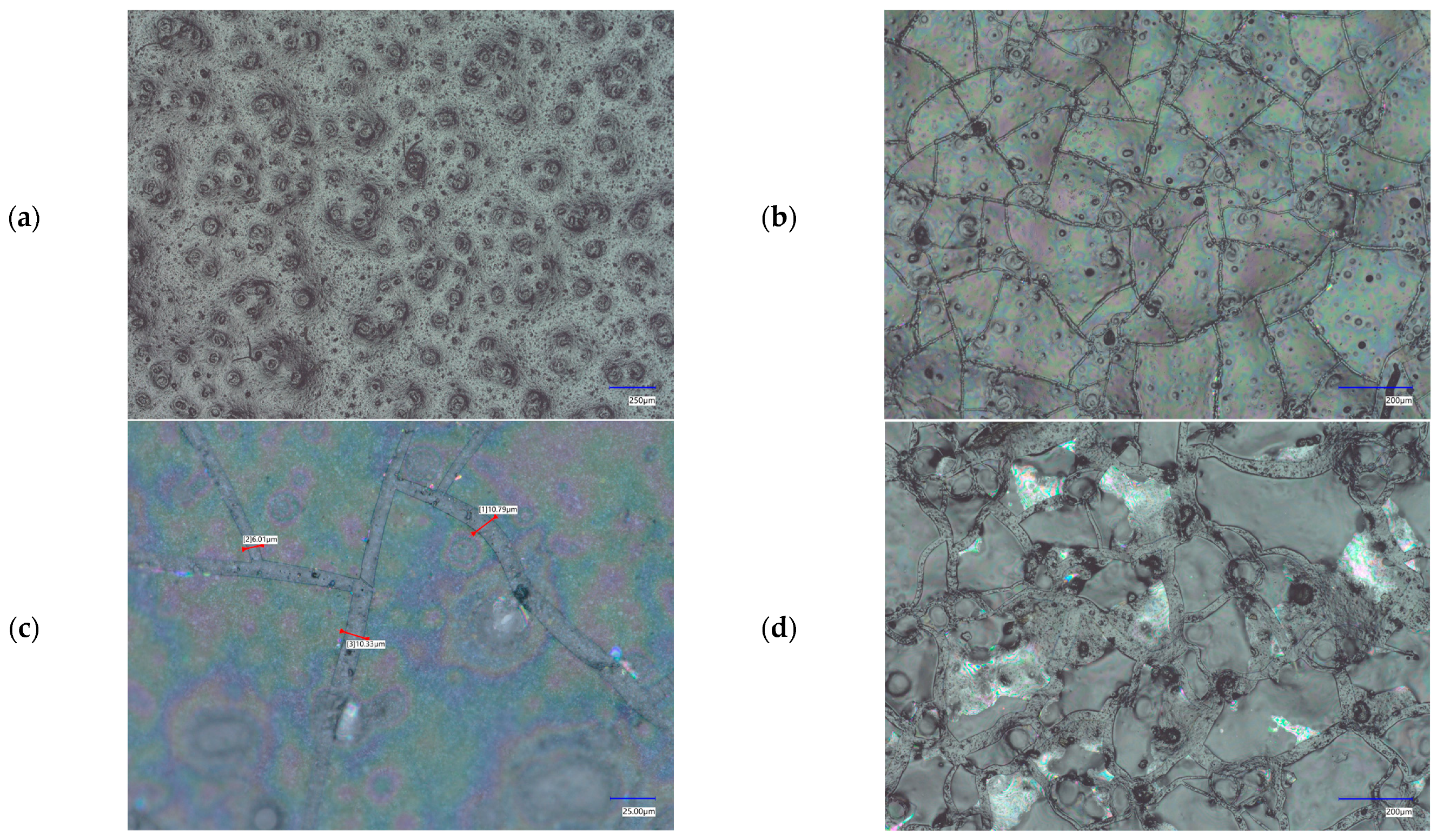 Coatings 13 00982 g003 Coatings 13 00982 g003
