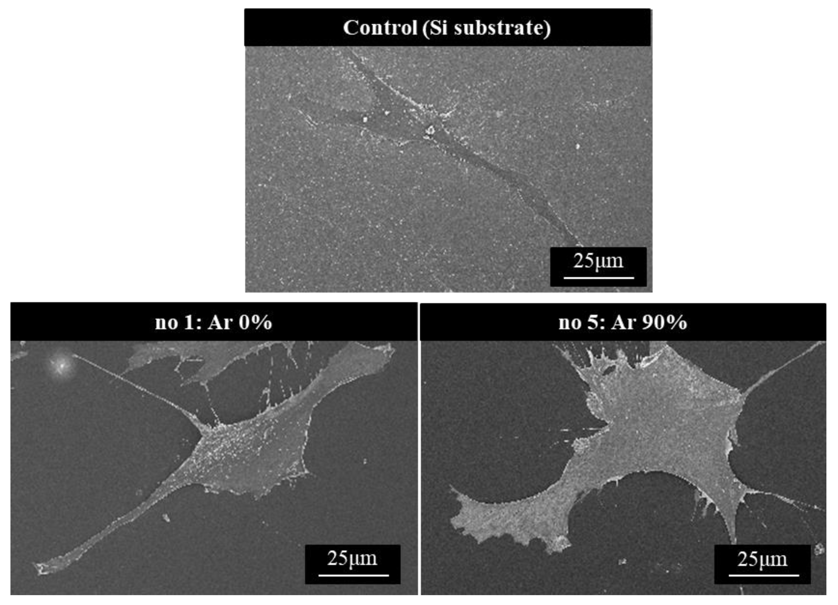 Coatings 13 00983 g005 Coatings 13 00983 g005