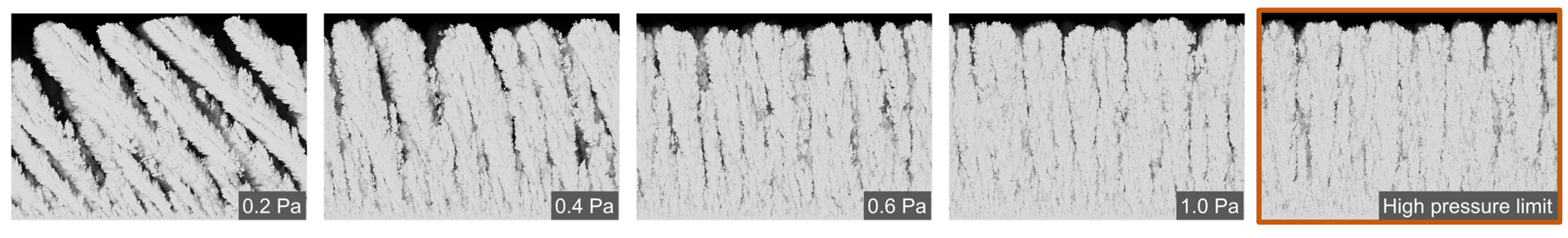 Coatings 13 00991 g004 Coatings 13 00991 g004