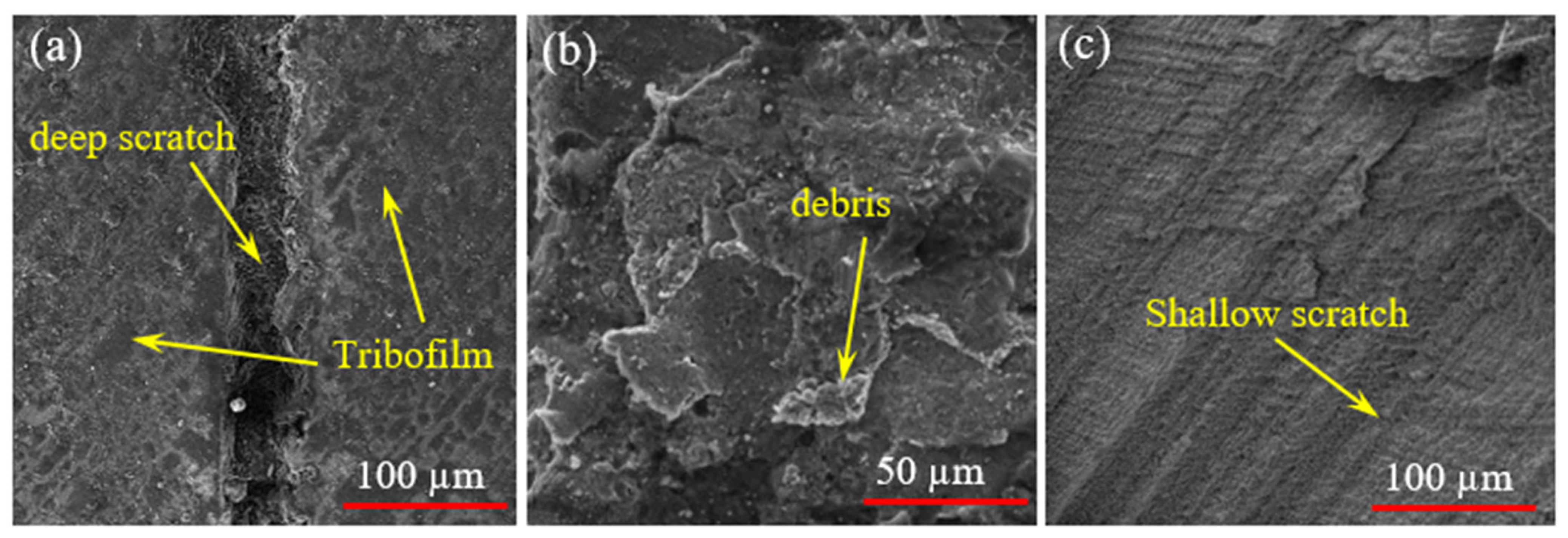 Coatings 13 00995 g016 Coatings 13 00995 g016