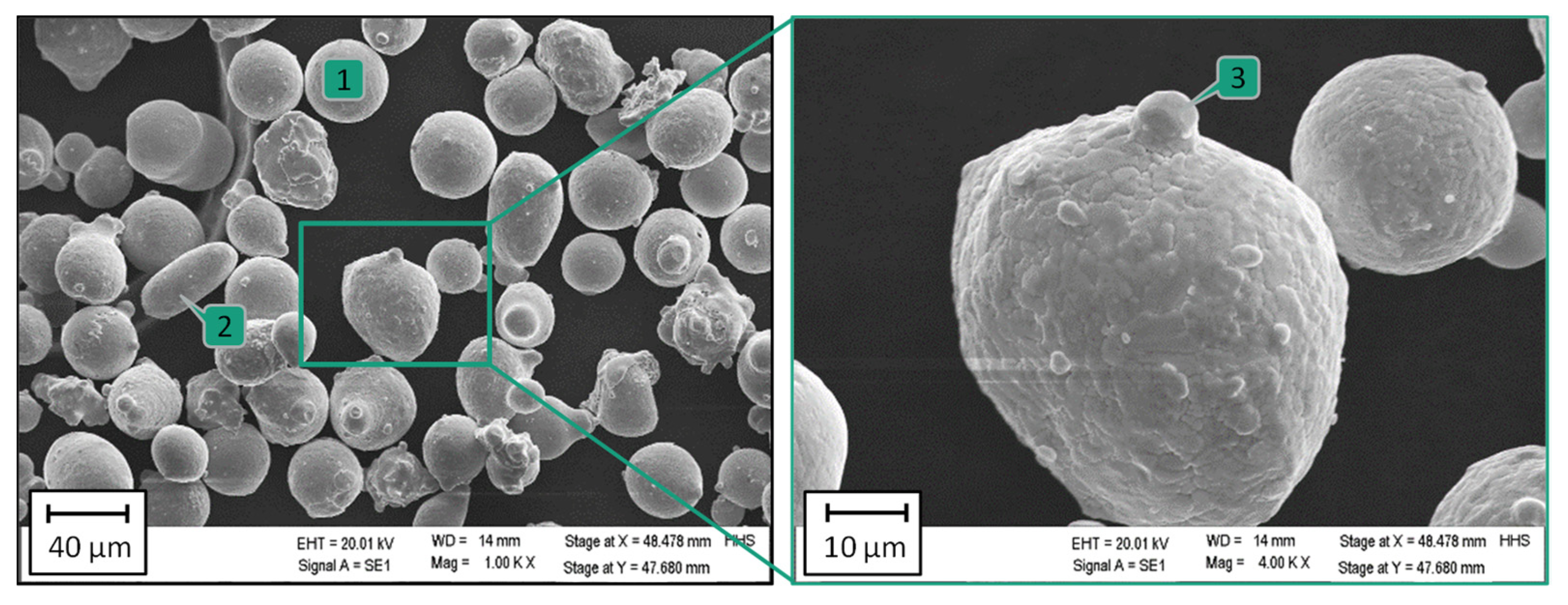 Coatings 13 00998 g002 550