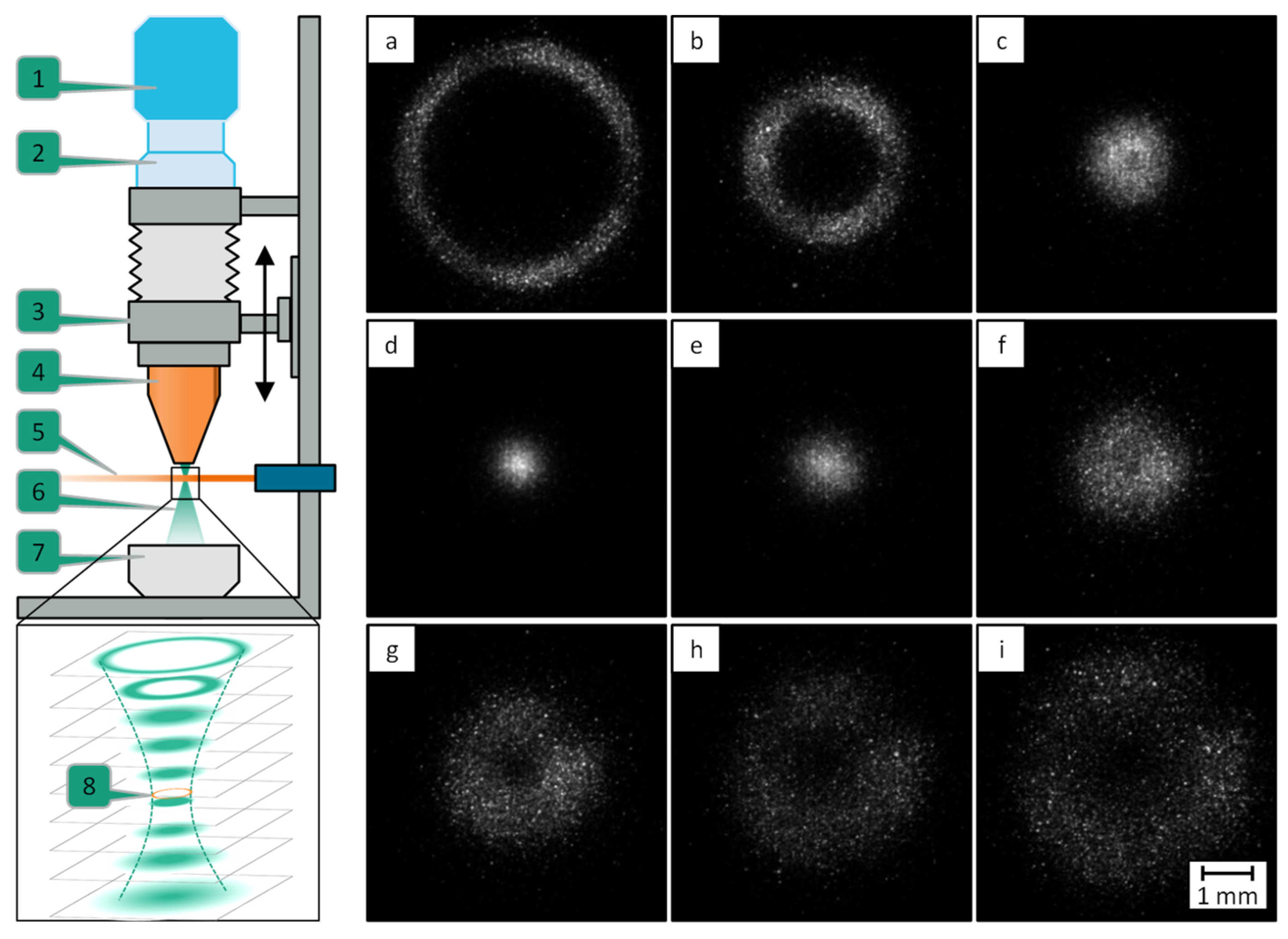 Coatings 13 00998 g006 550
