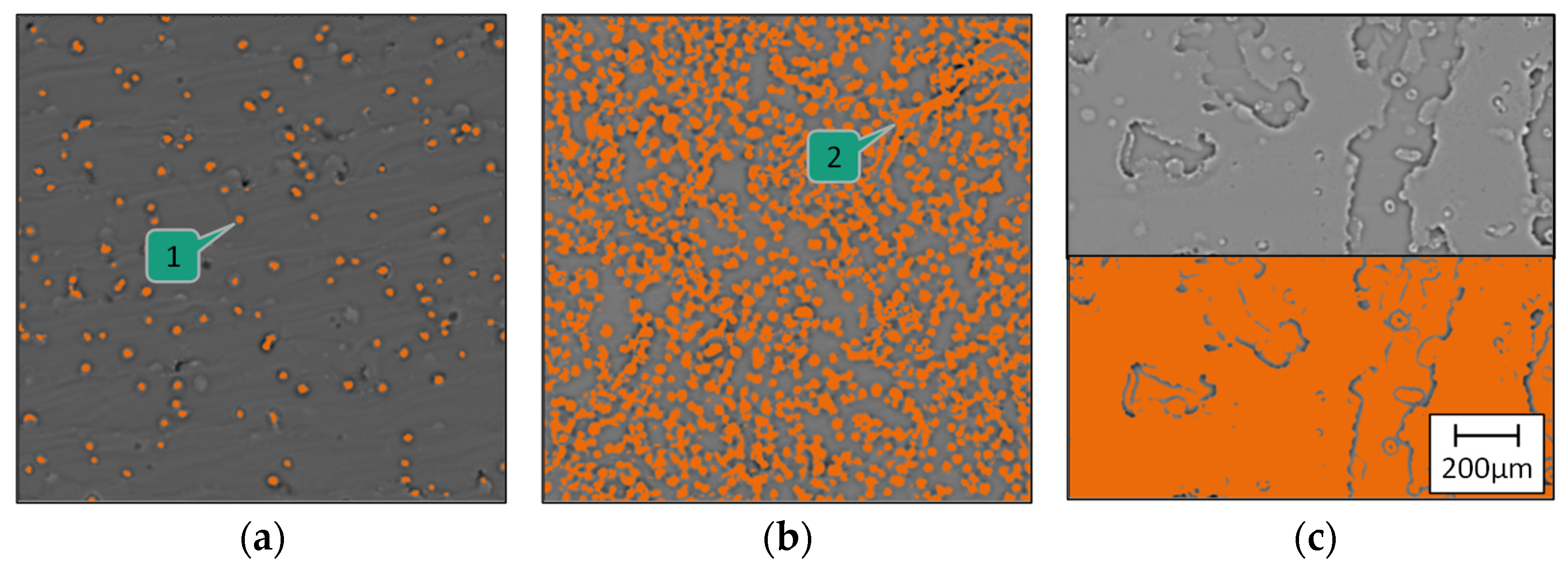 Coatings 13 00998 g009 550