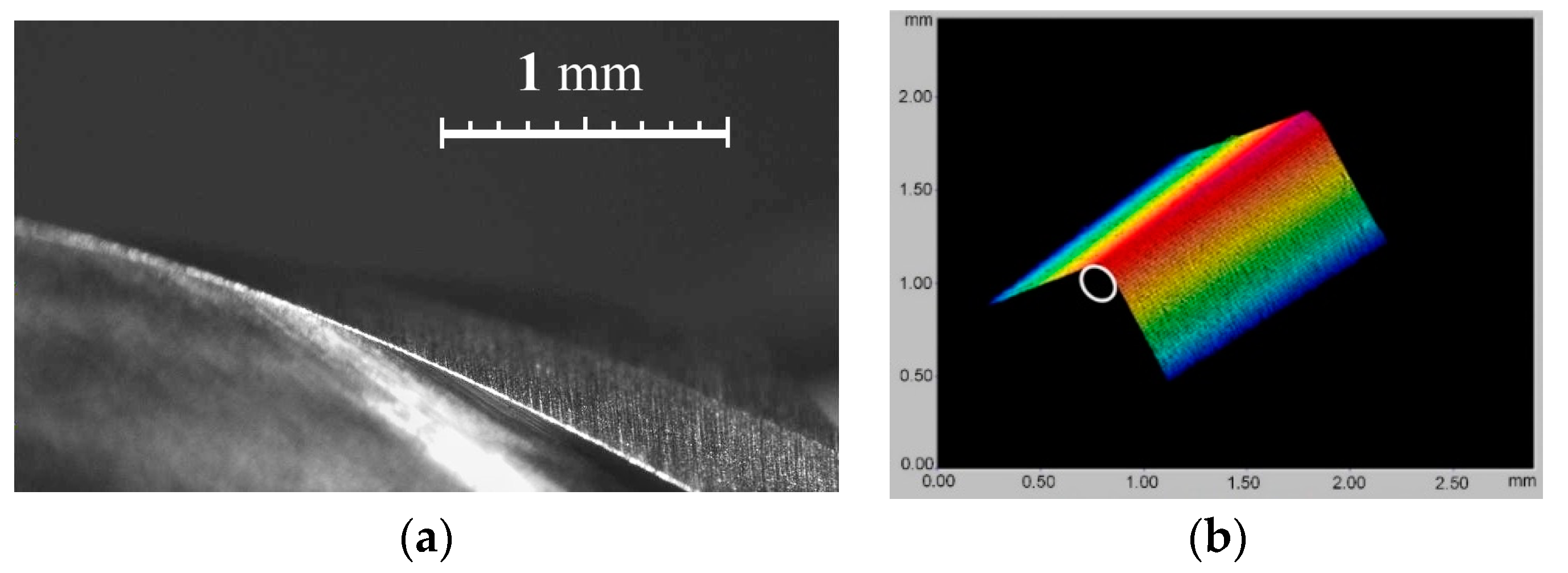 Coatings 13 00999 g007