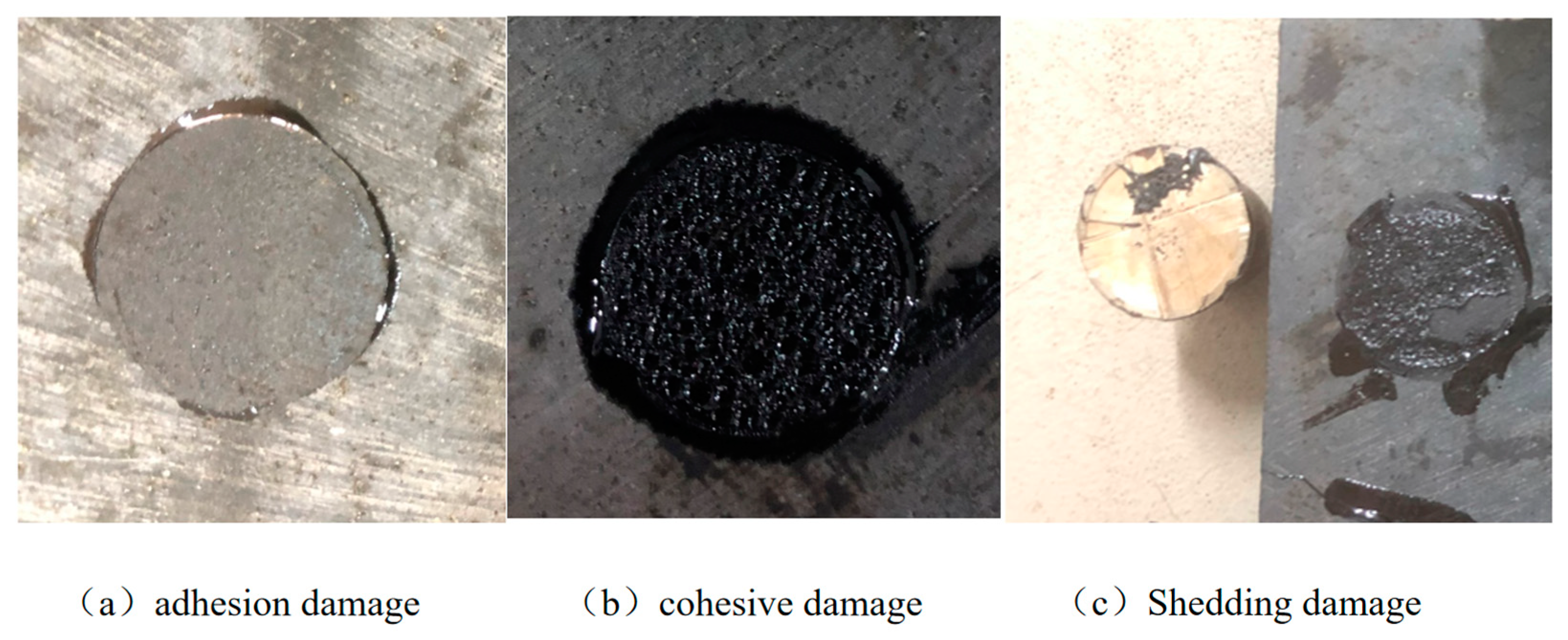 Coatings 13 01001 g004 550