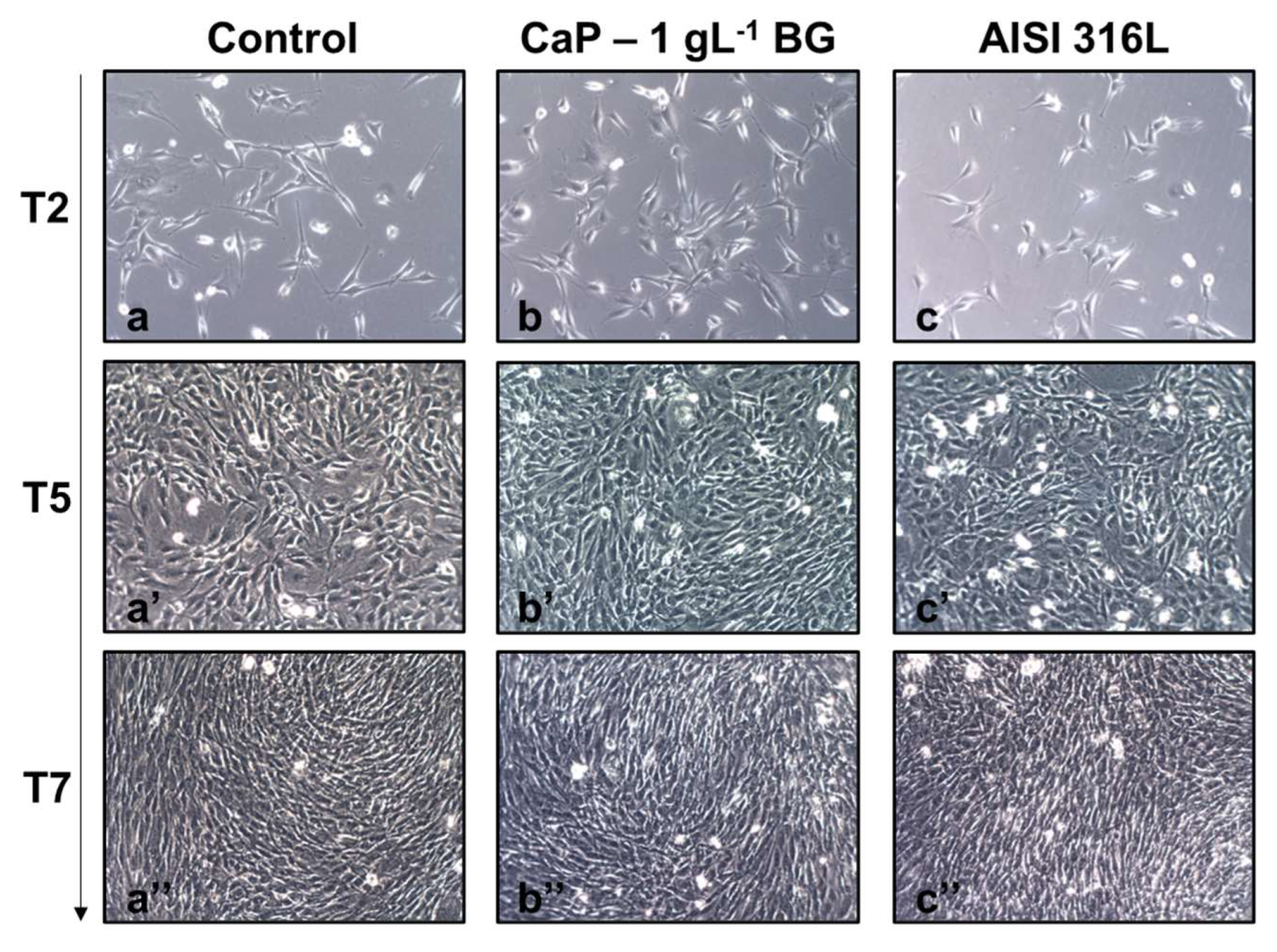 Coatings 13 01006 g008 Coatings 13 01006 g008