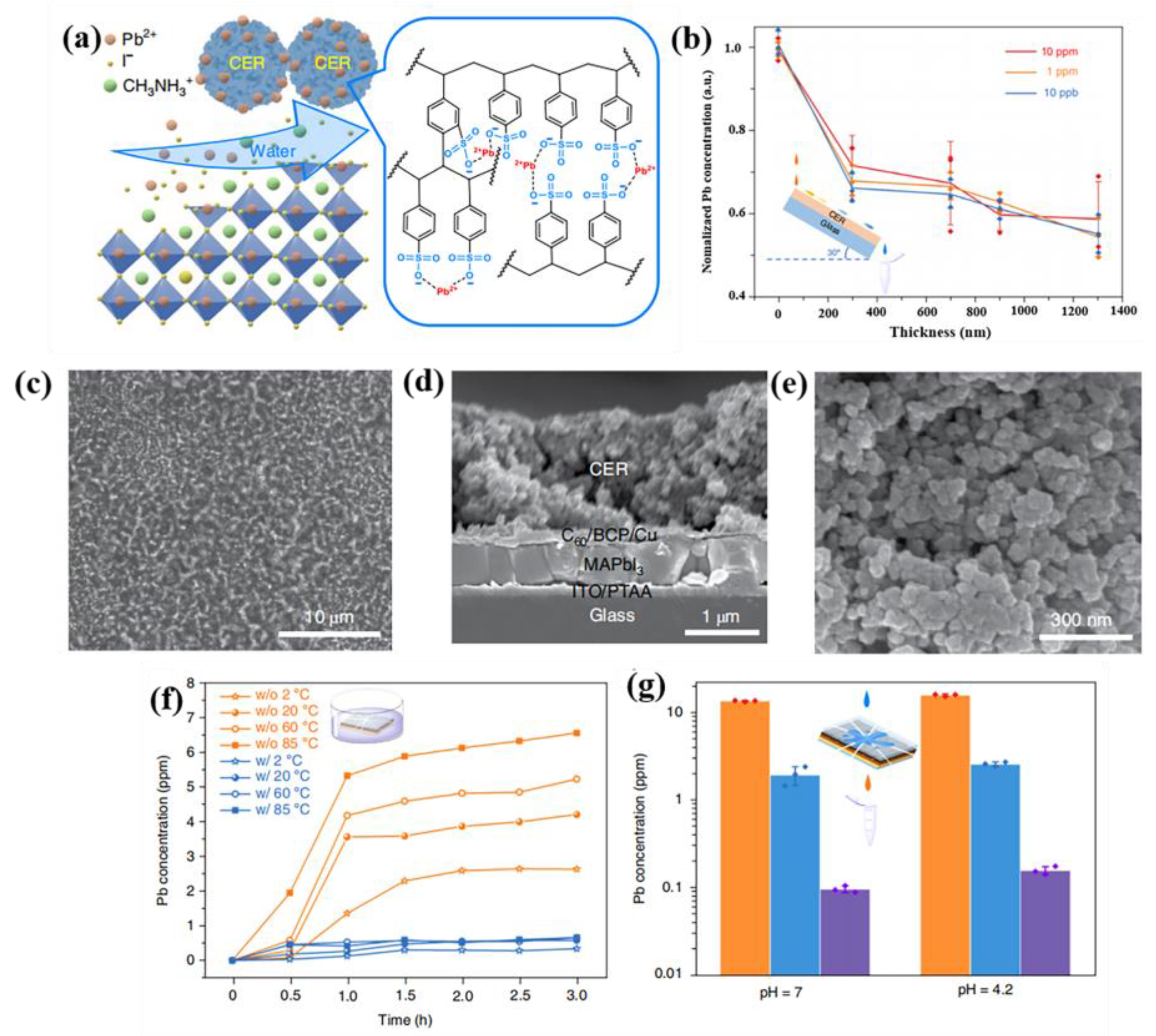 Coatings 13 01009 g005