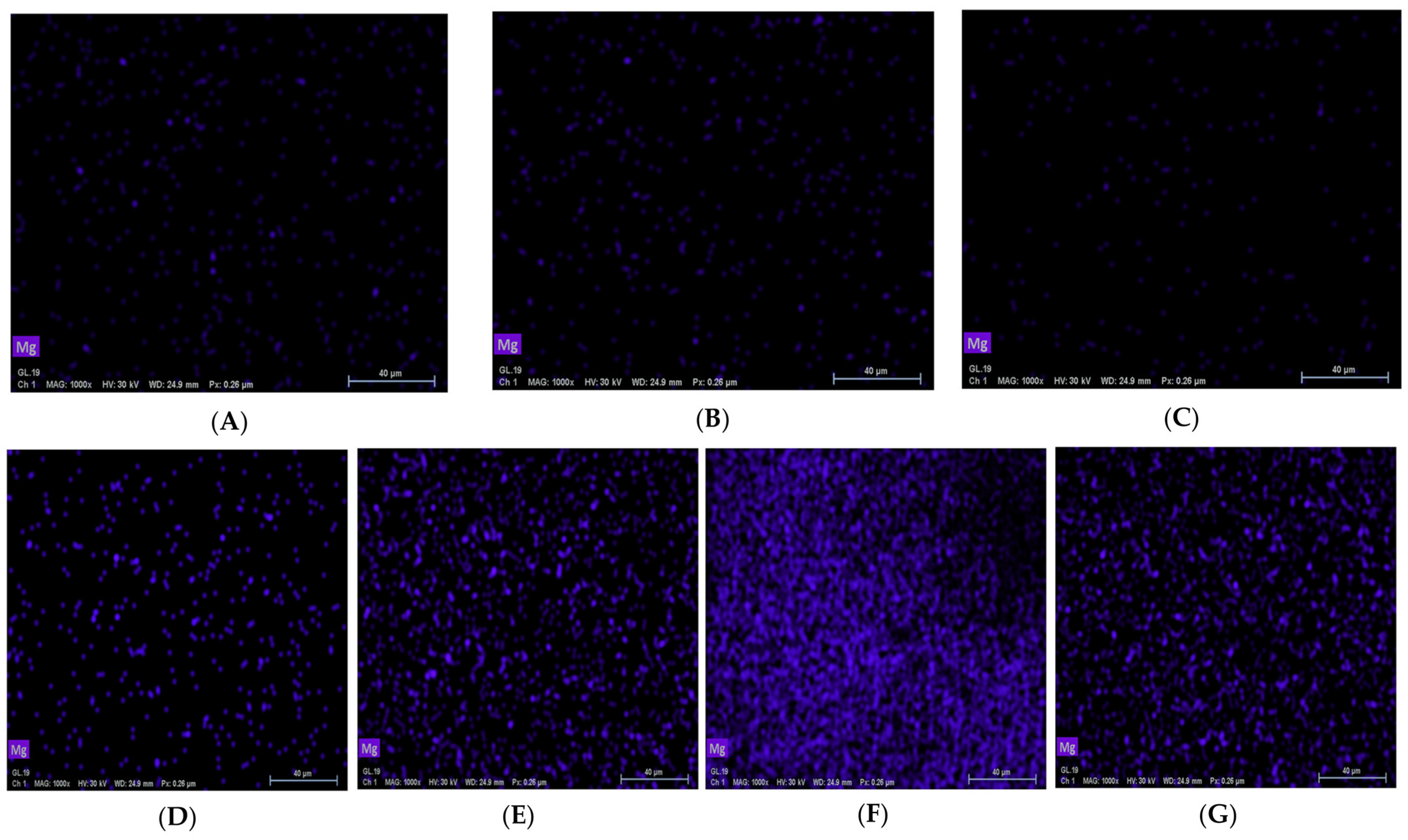 Coatings 13 01018 g006
