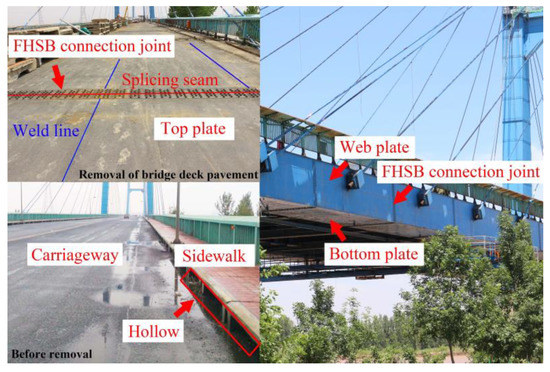 Biodegradable Electrospun Nanofiber Membranes as Promising