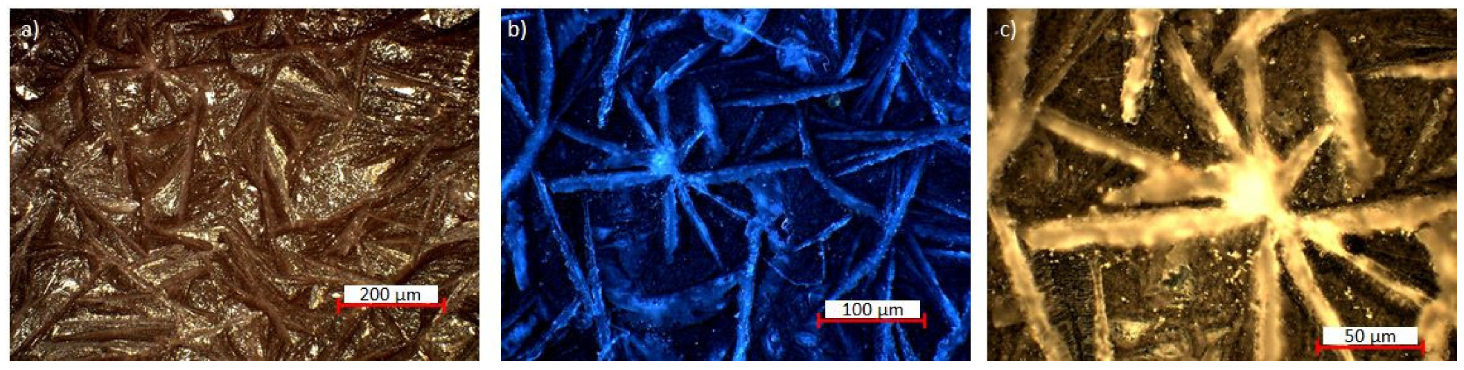 Coatings 13 01029 g002 Coatings 13 01029 g002