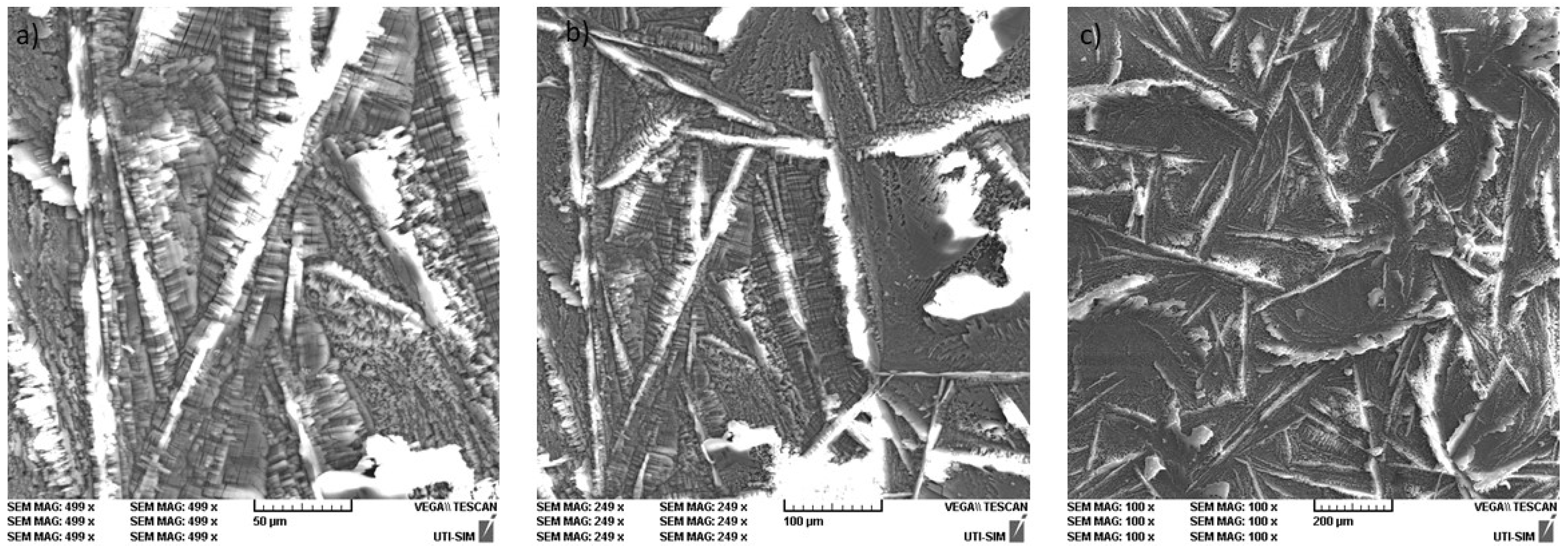 Coatings 13 01029 g003 Coatings 13 01029 g003