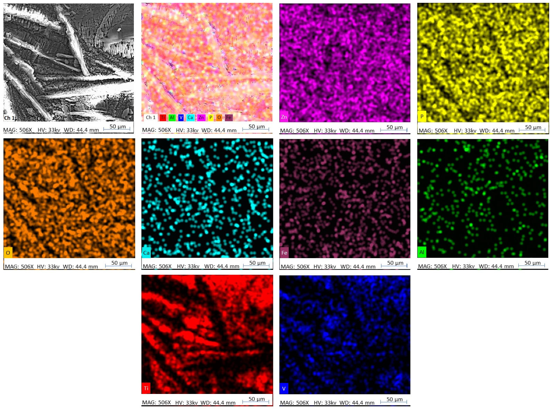 Coatings 13 01029 g004 Coatings 13 01029 g004