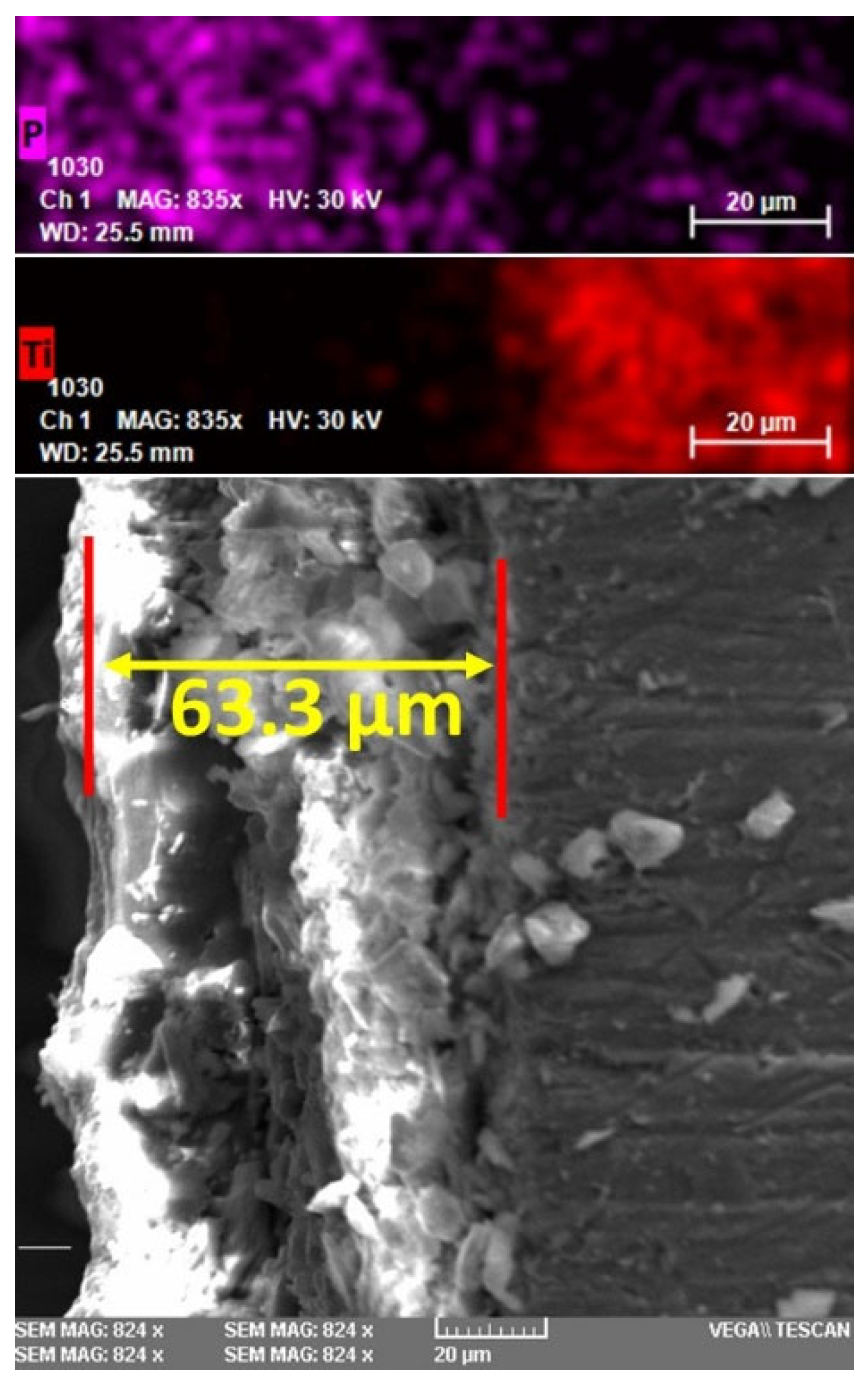 Coatings 13 01029 g006 Coatings 13 01029 g006