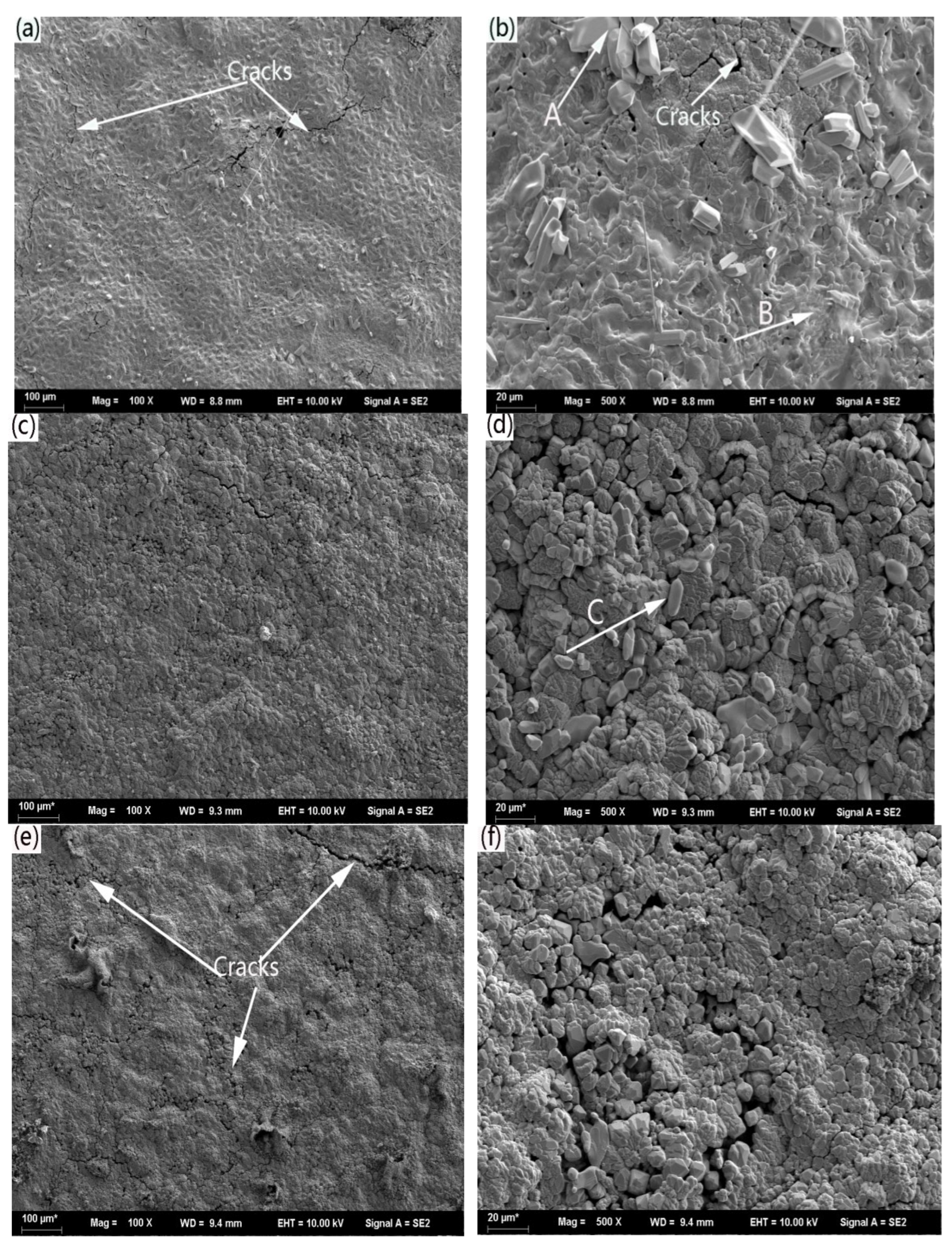 Coatings 13 01031 g005 Coatings 13 01031 g005