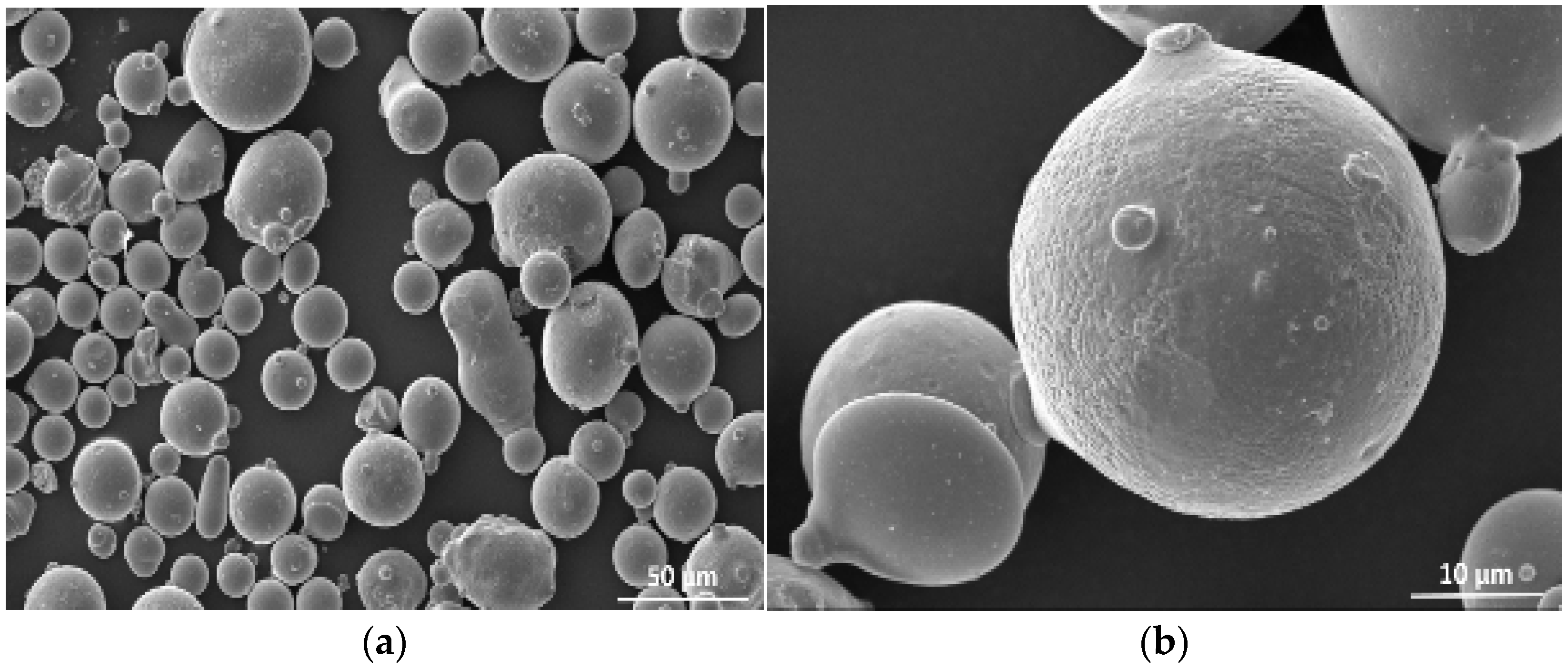 Coatings 13 01033 g001 Coatings 13 01033 g001