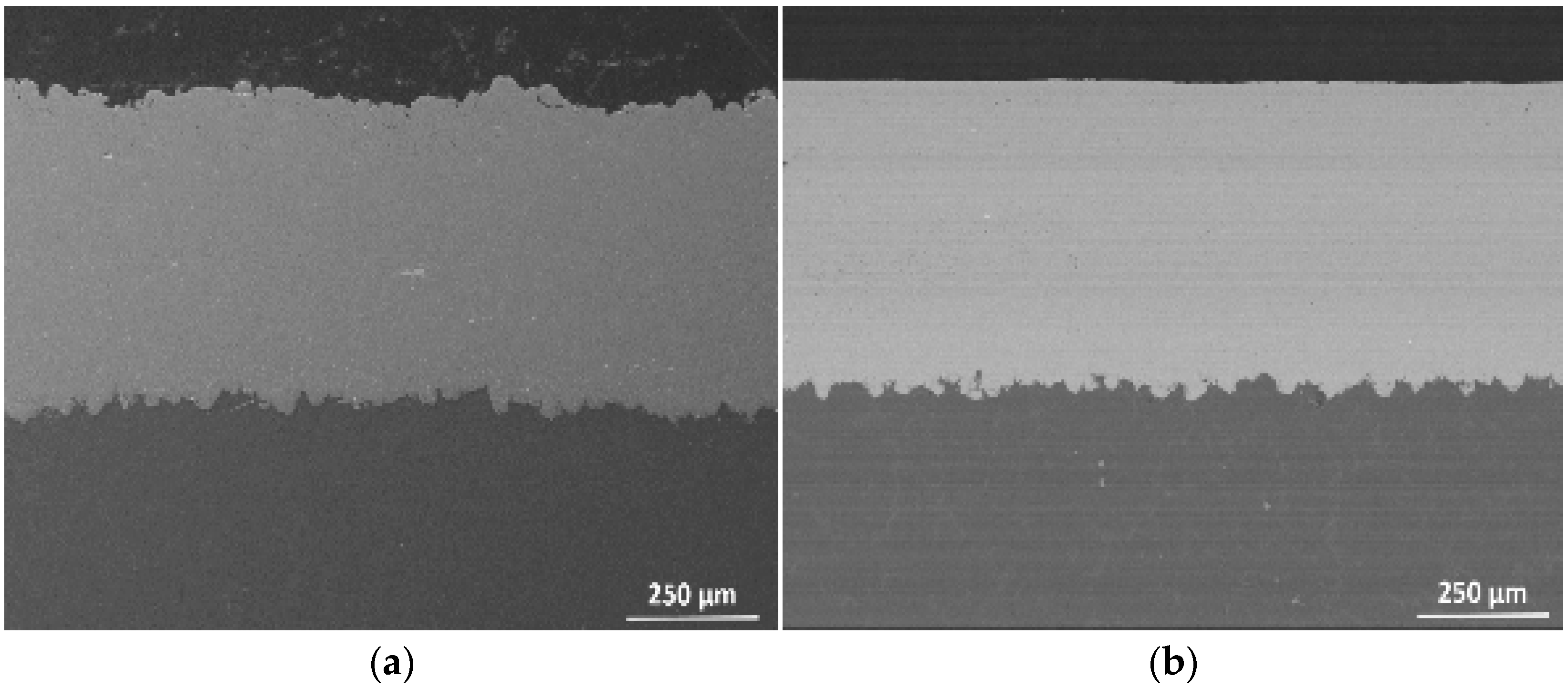 Coatings 13 01033 g003a Coatings 13 01033 g003a