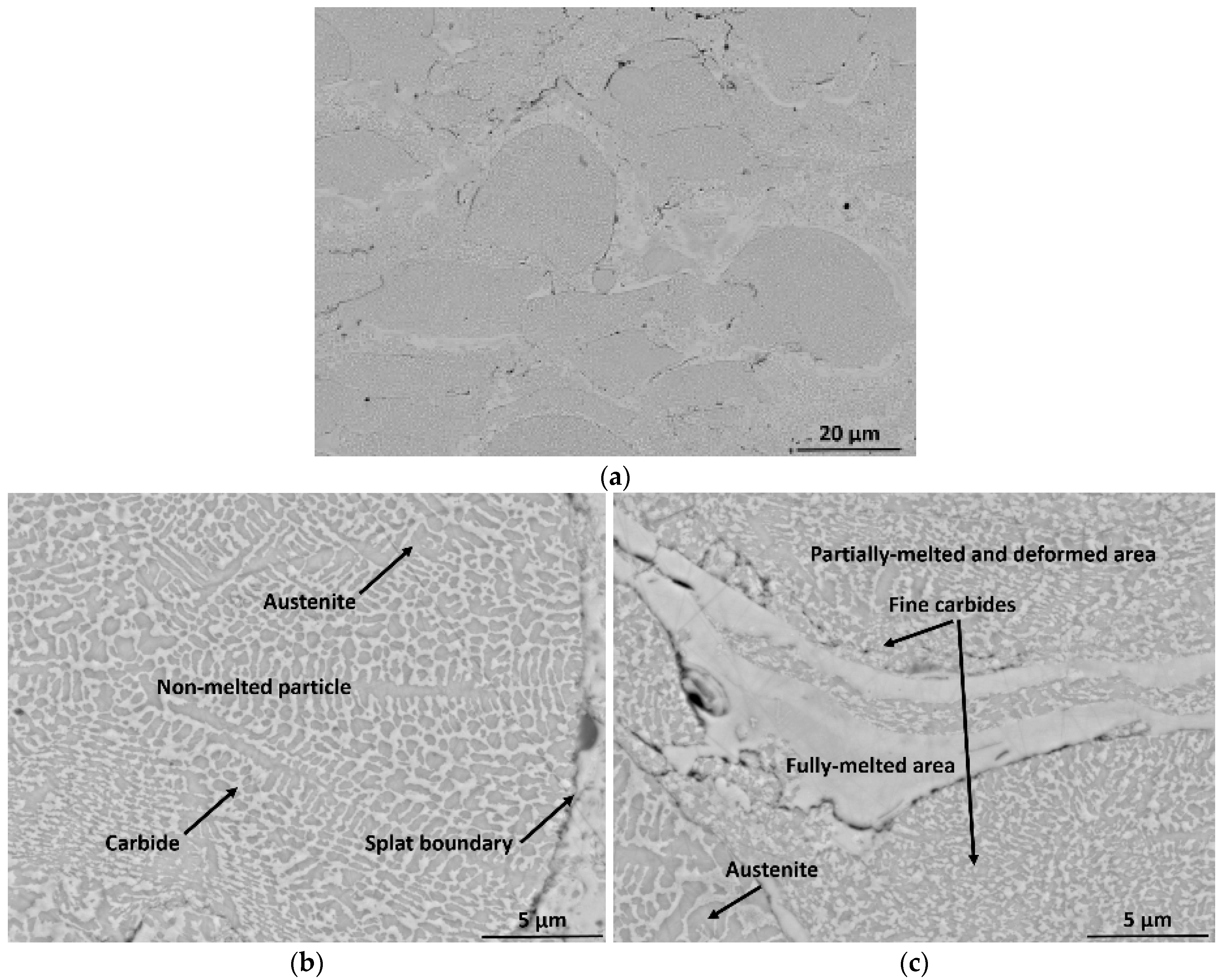 Coatings 13 01033 g004 Coatings 13 01033 g004