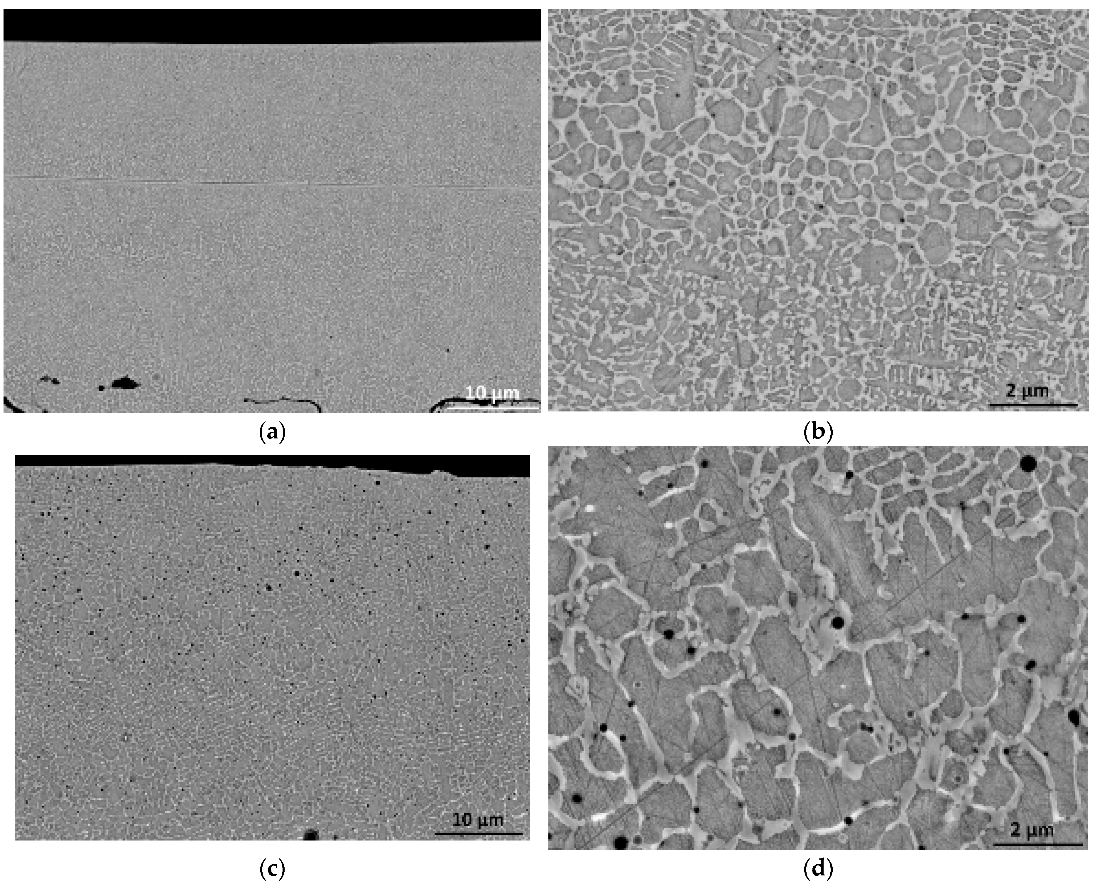 Coatings 13 01033 g005 Coatings 13 01033 g005