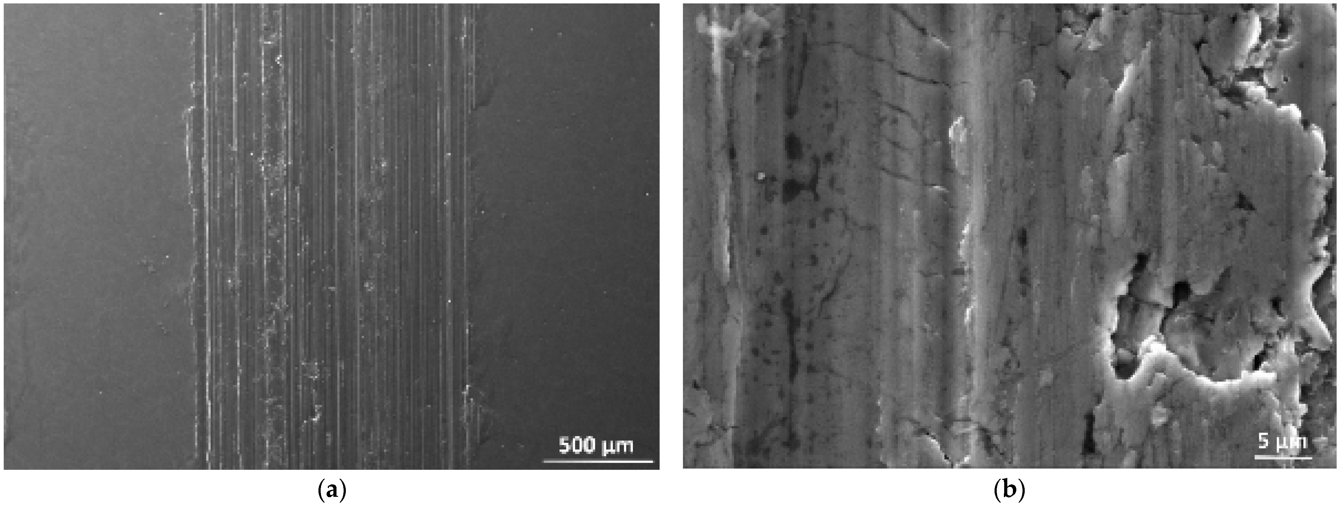 Coatings 13 01033 g009a Coatings 13 01033 g009a
