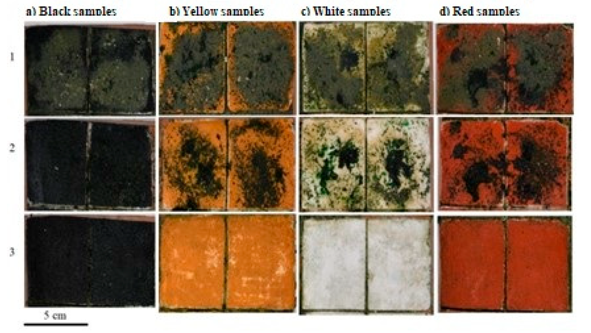 Coatings 13 01034 g005 Coatings 13 01034 g005