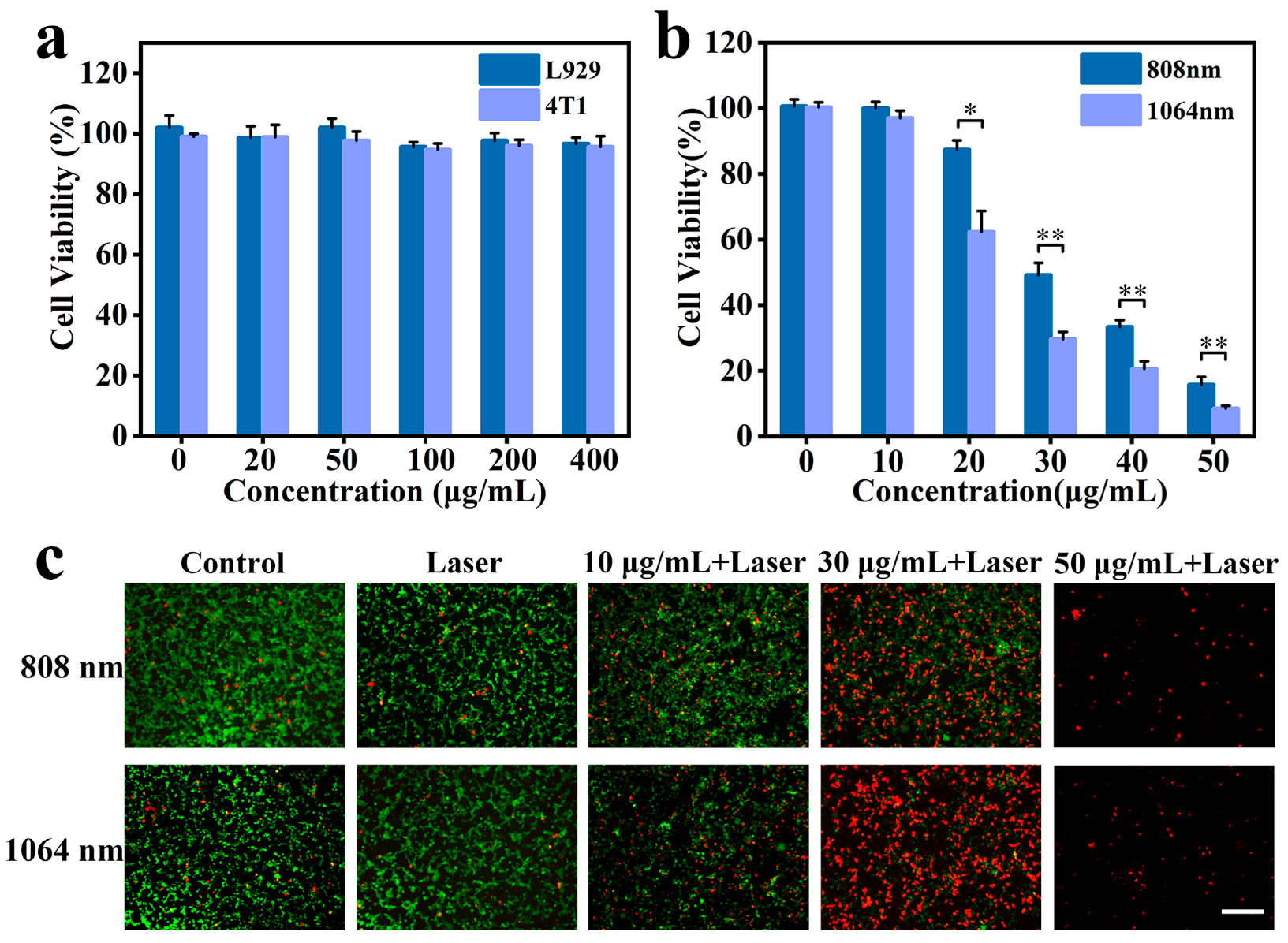 Coatings 13 01037 g004 Coatings 13 01037 g004