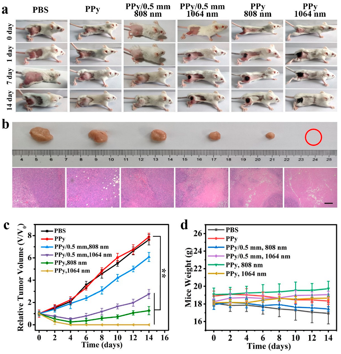 Coatings 13 01037 g006 Coatings 13 01037 g006