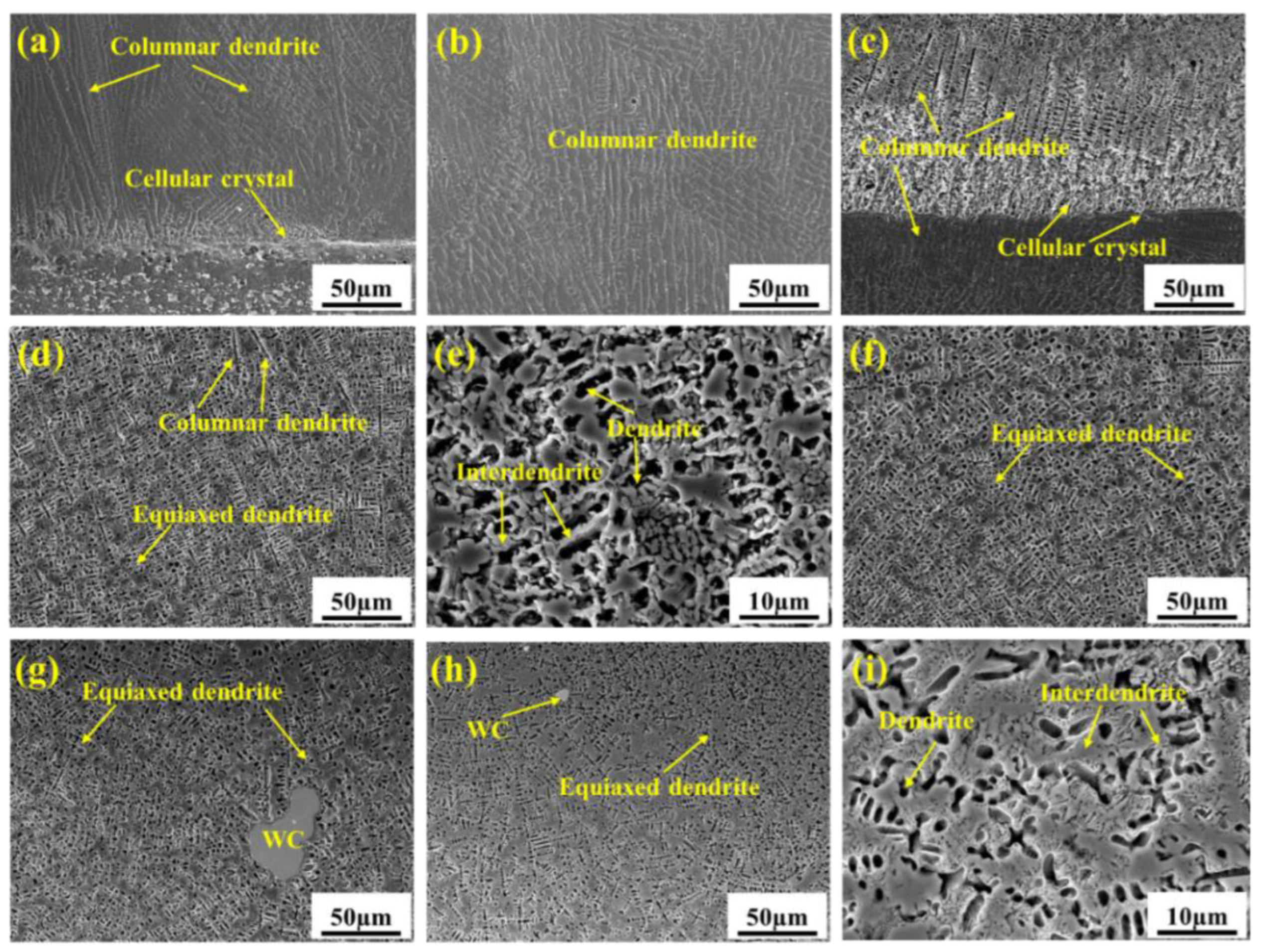 Coatings 13 01039 g010 Coatings 13 01039 g010