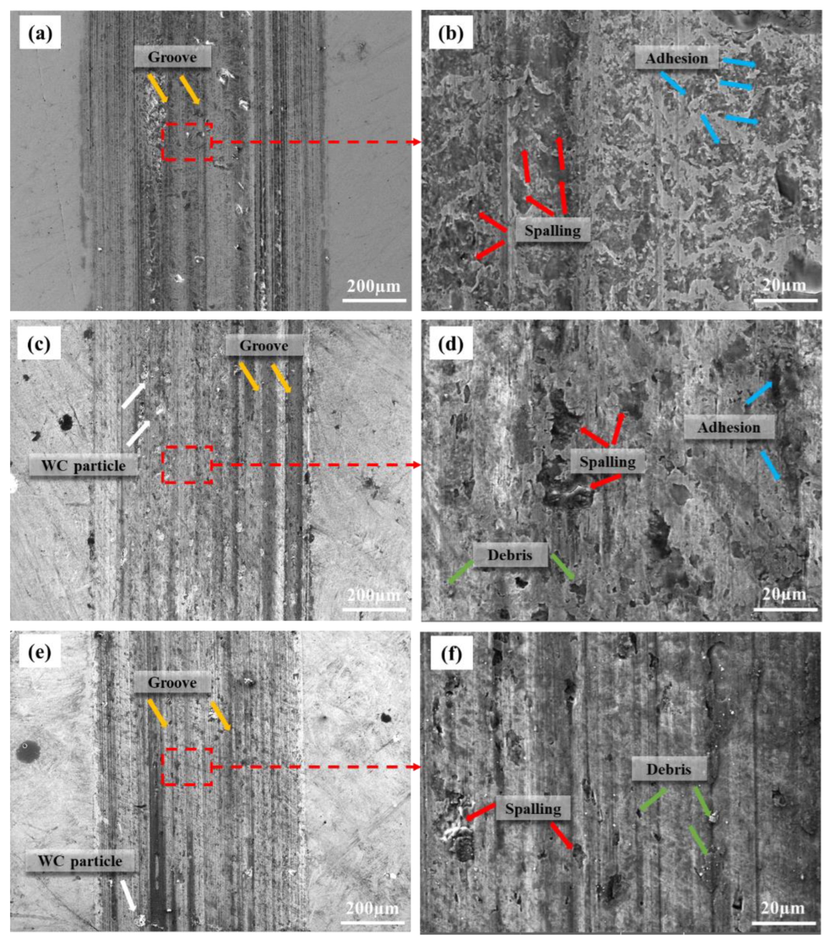 Coatings 13 01039 g014 Coatings 13 01039 g014