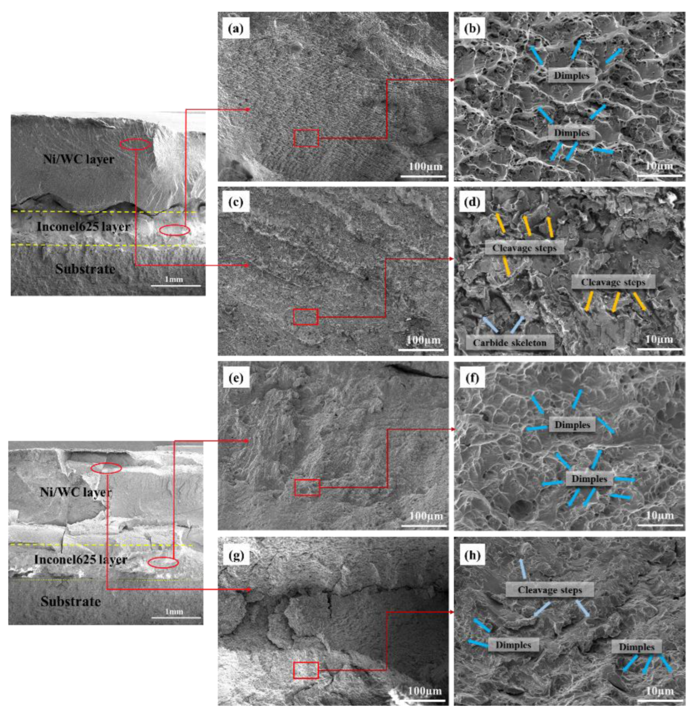 Coatings 13 01039 g017 Coatings 13 01039 g017