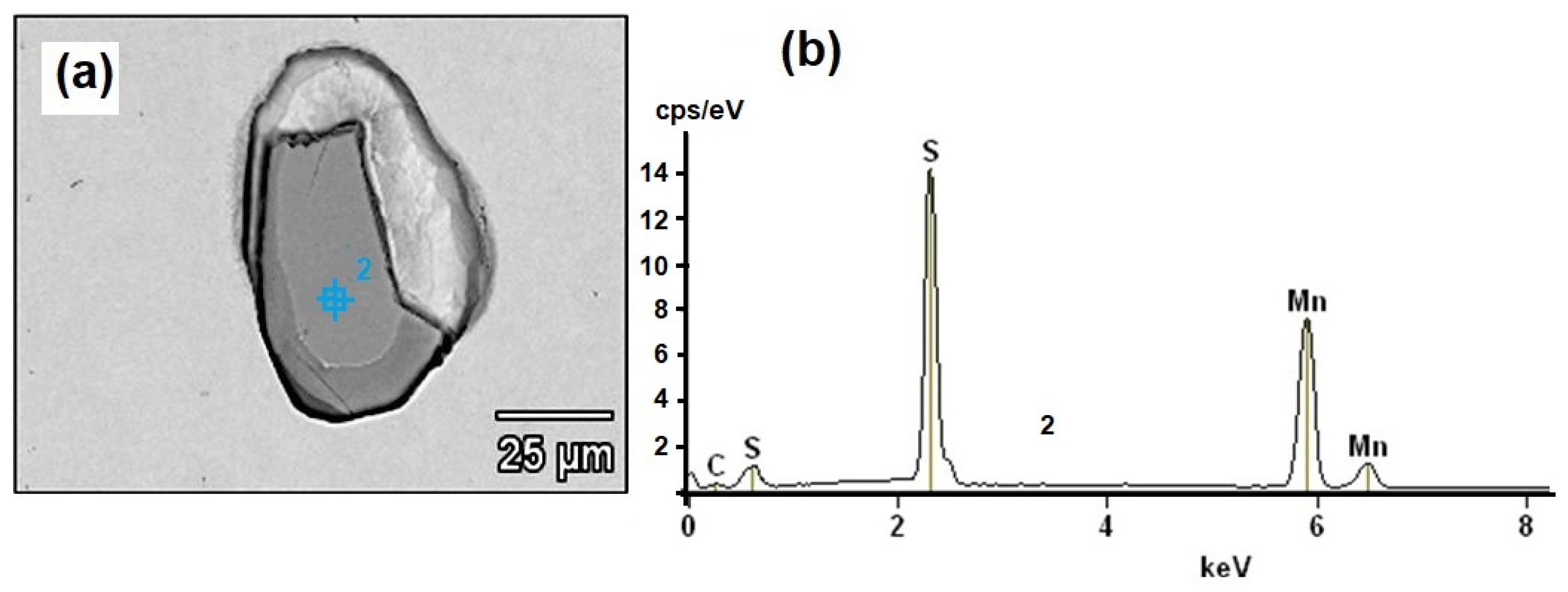 Coatings 13 01040 g005 Coatings 13 01040 g005