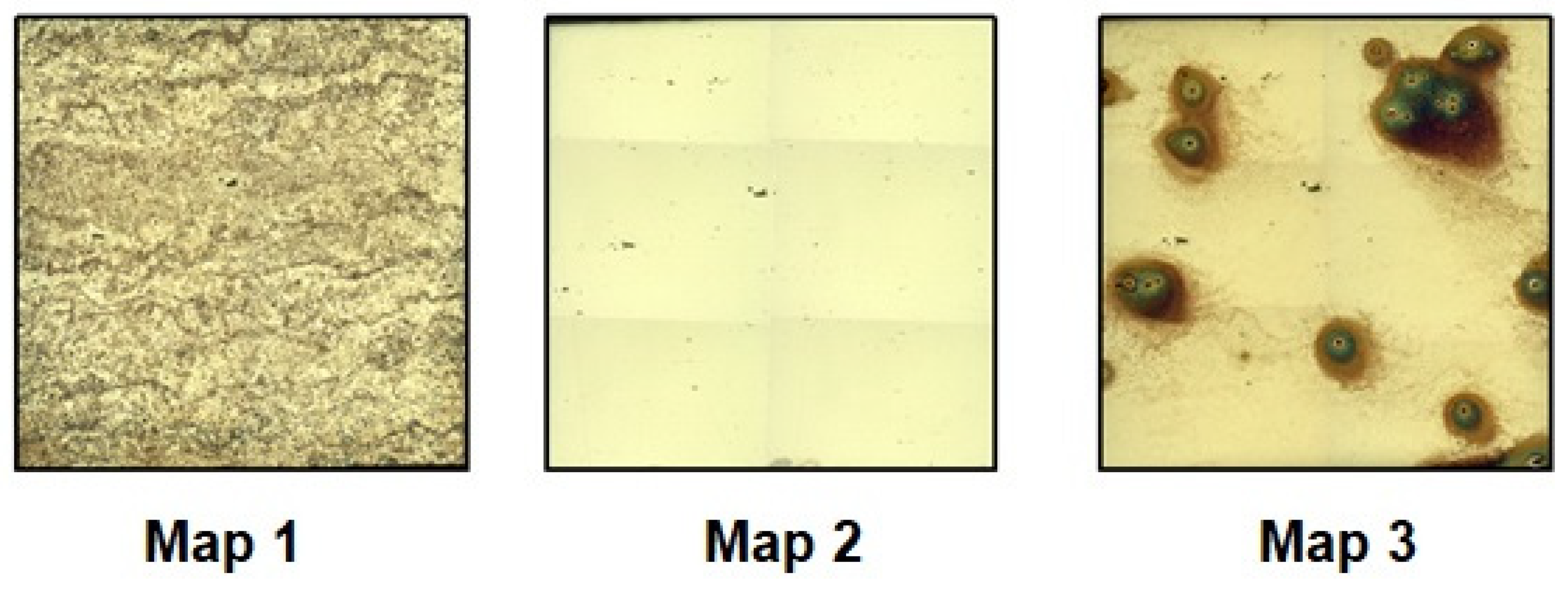 Coatings 13 01040 g010 Coatings 13 01040 g010