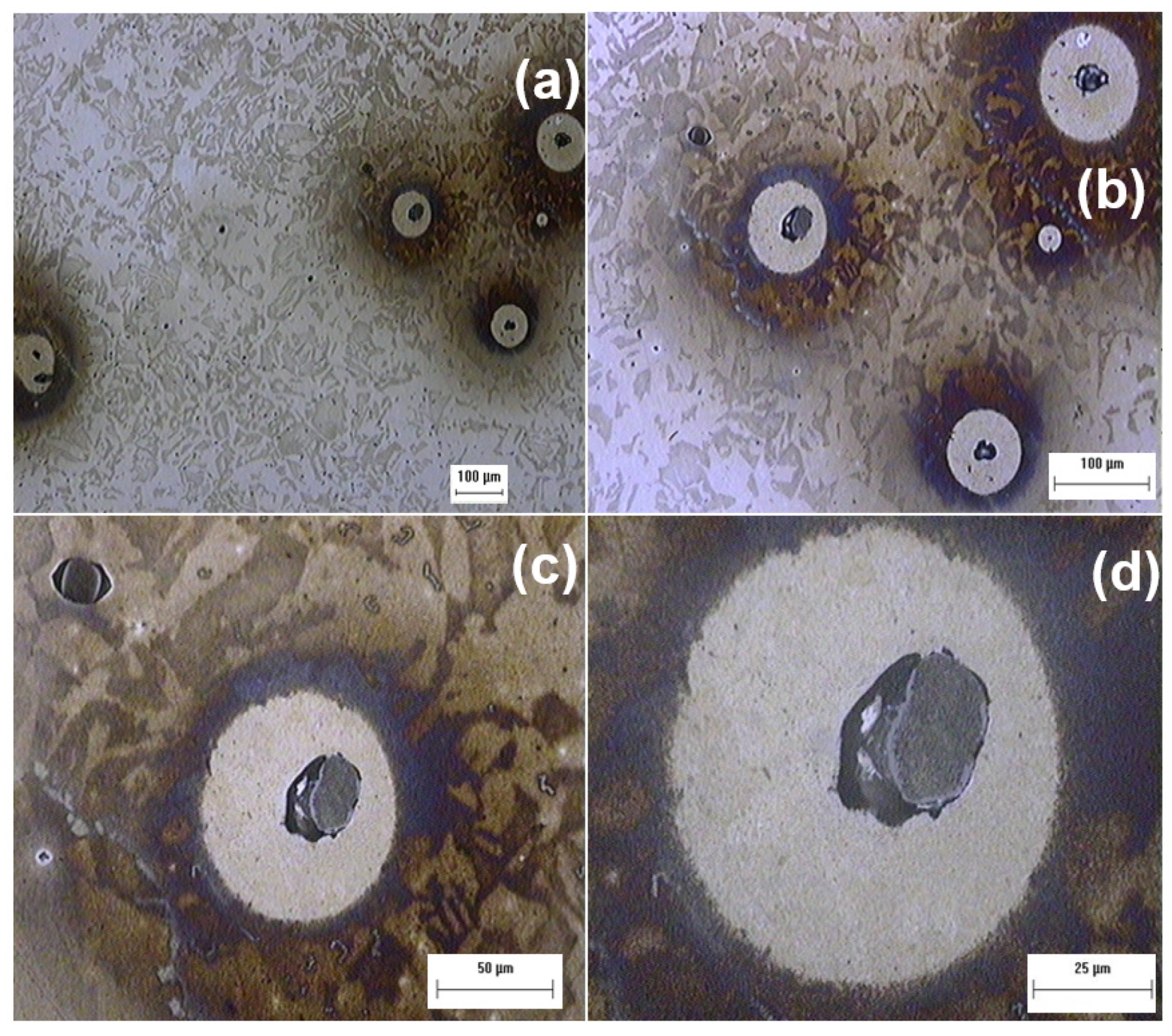 Coatings 13 01040 g015 Coatings 13 01040 g015